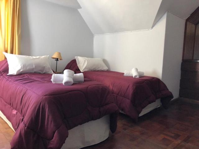 Standard Twin Room photo 1