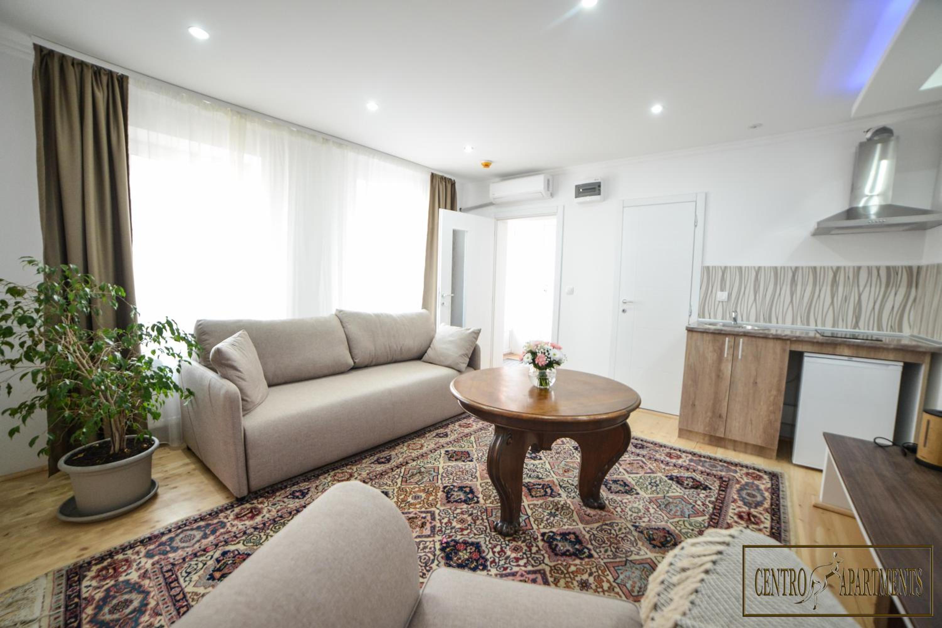 Studio Apartment photo 2