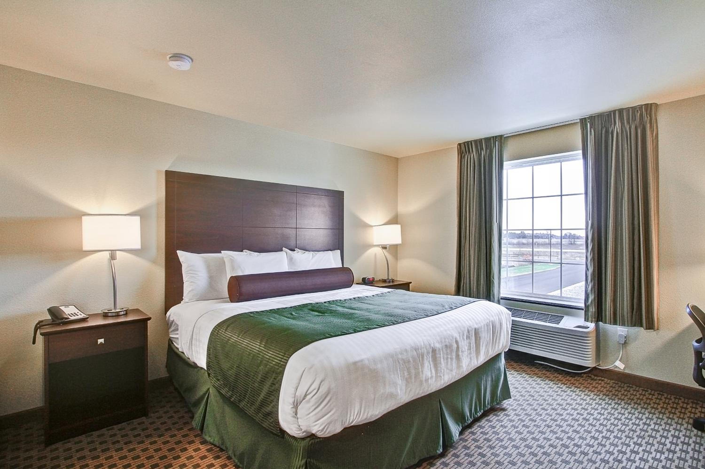 King Room photo 1