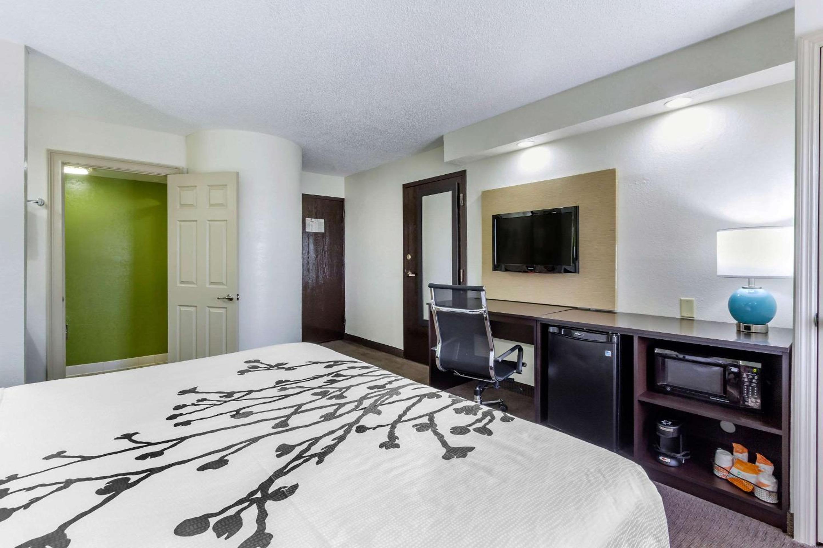 King Room - Non-Smoking - Photo 4
