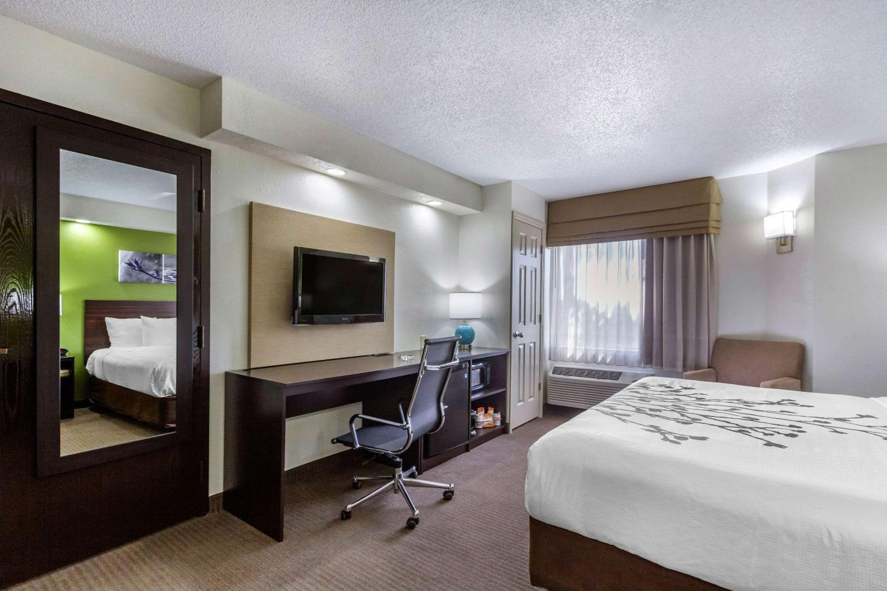 King Room - Non-Smoking - Photo 2