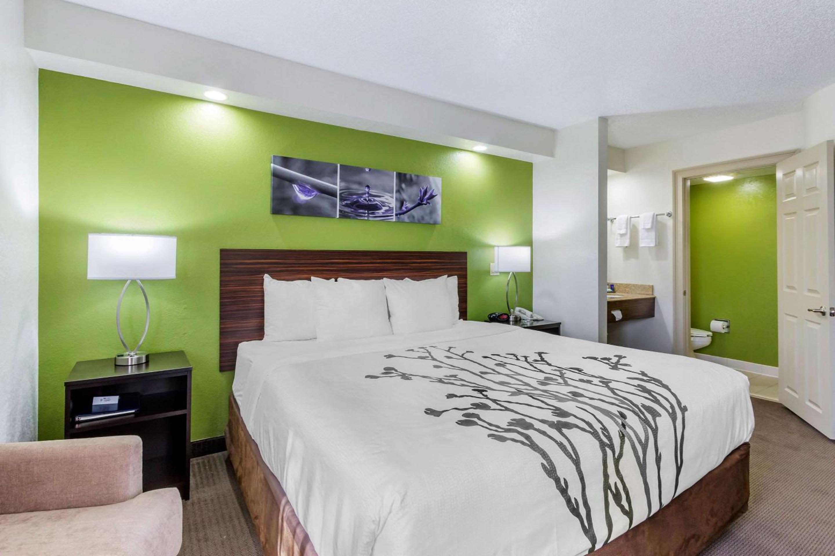 King Room - Non-Smoking - Photo 3
