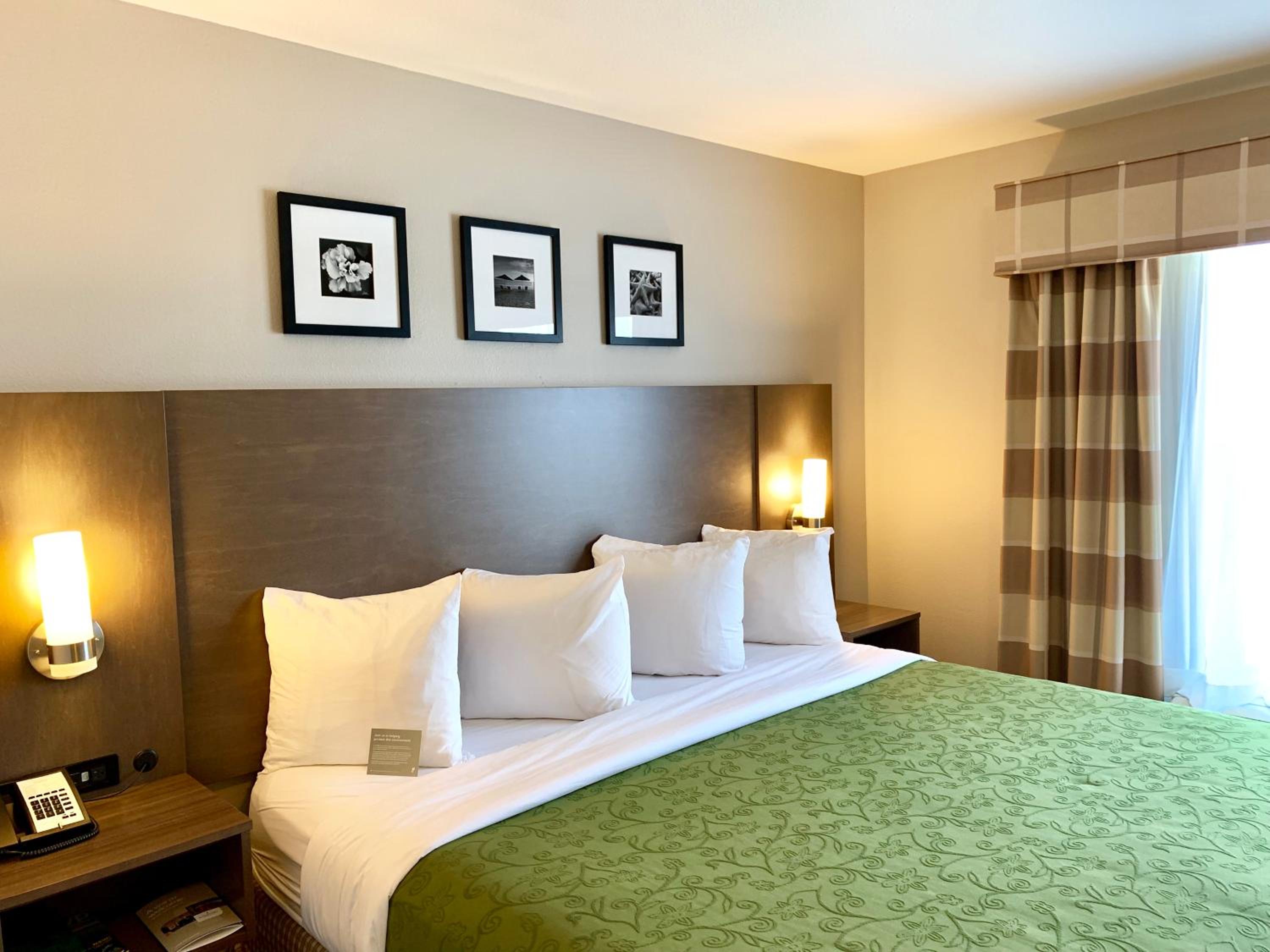 King Suite with Sofa Bed - Photo 5