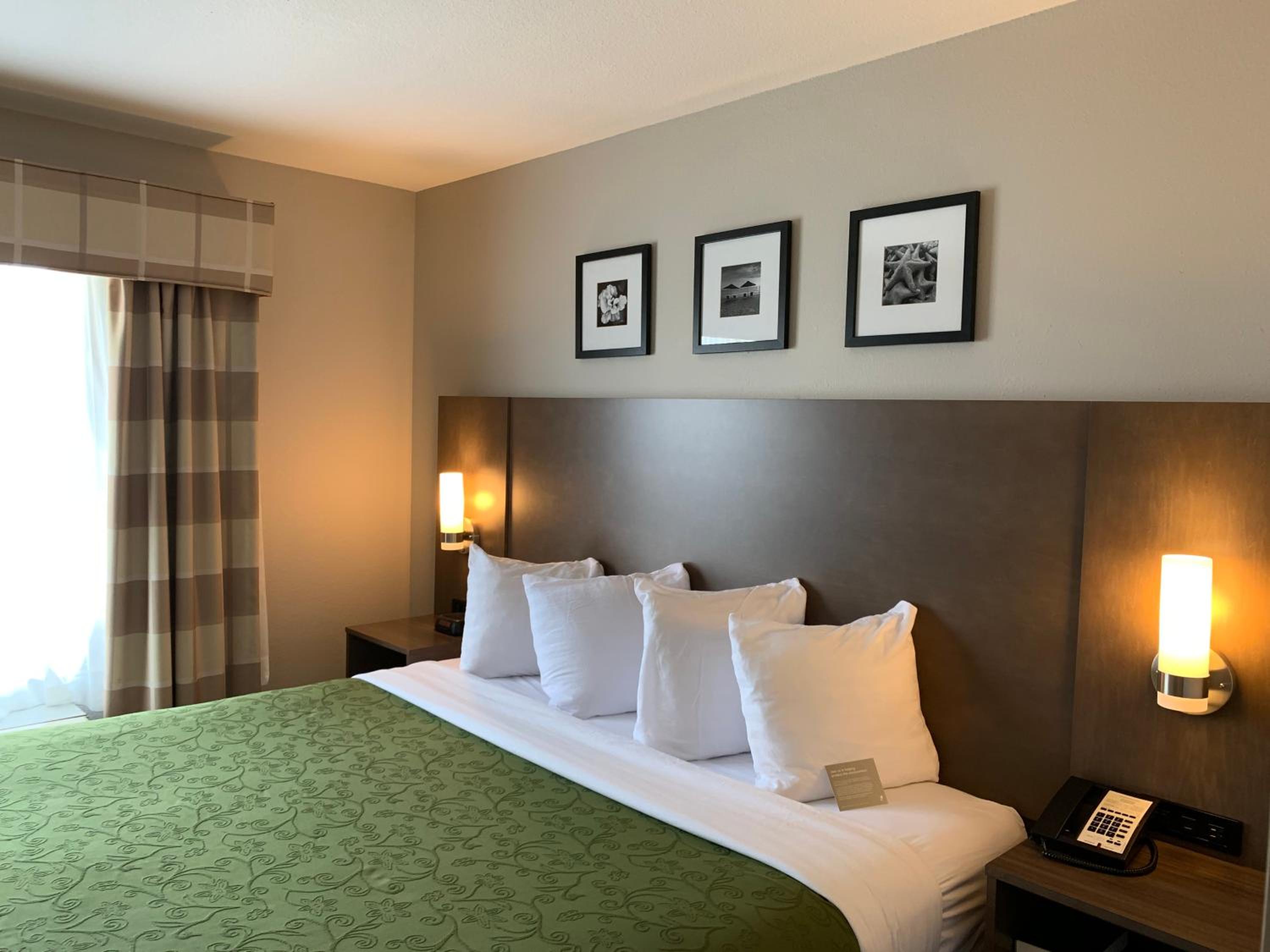 King Suite with Sofa Bed - Photo 1