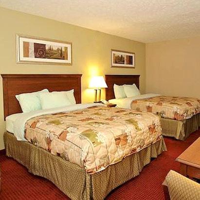 Double Room with Two Double Beds photo 3