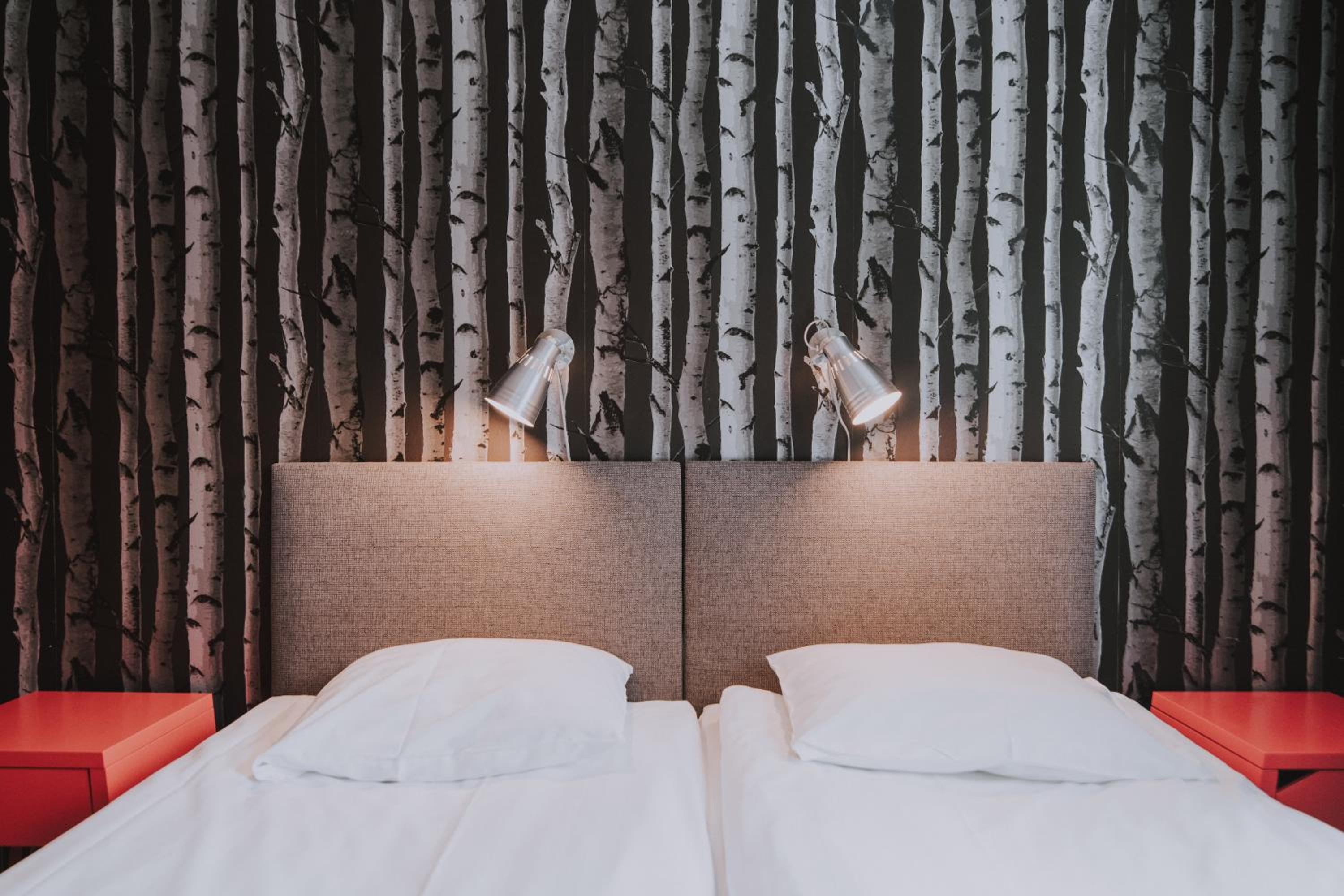 Standard Twin Room photo 2
