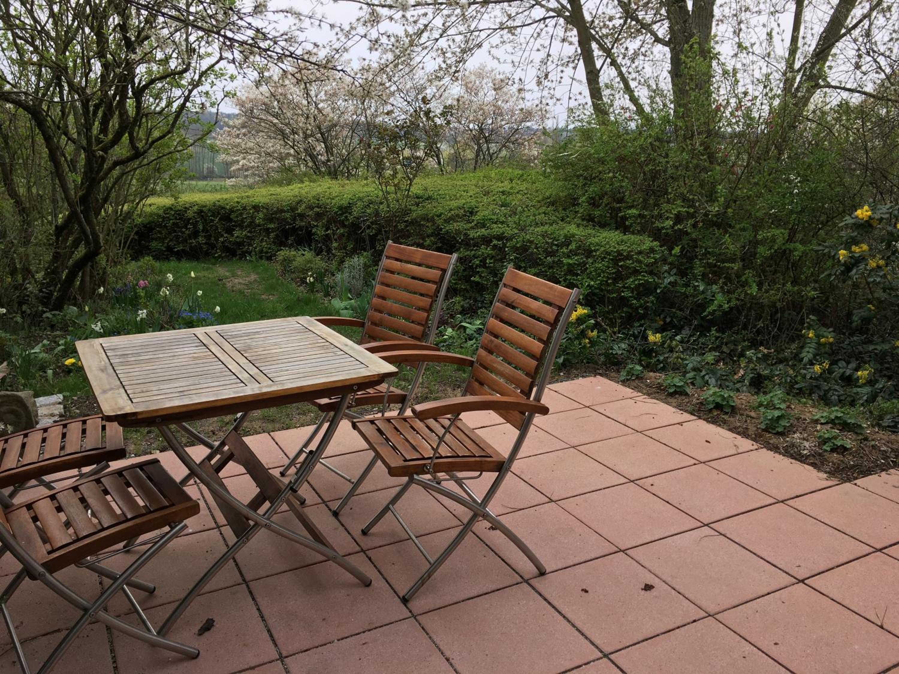 Apartment - Ground Floor photo 3