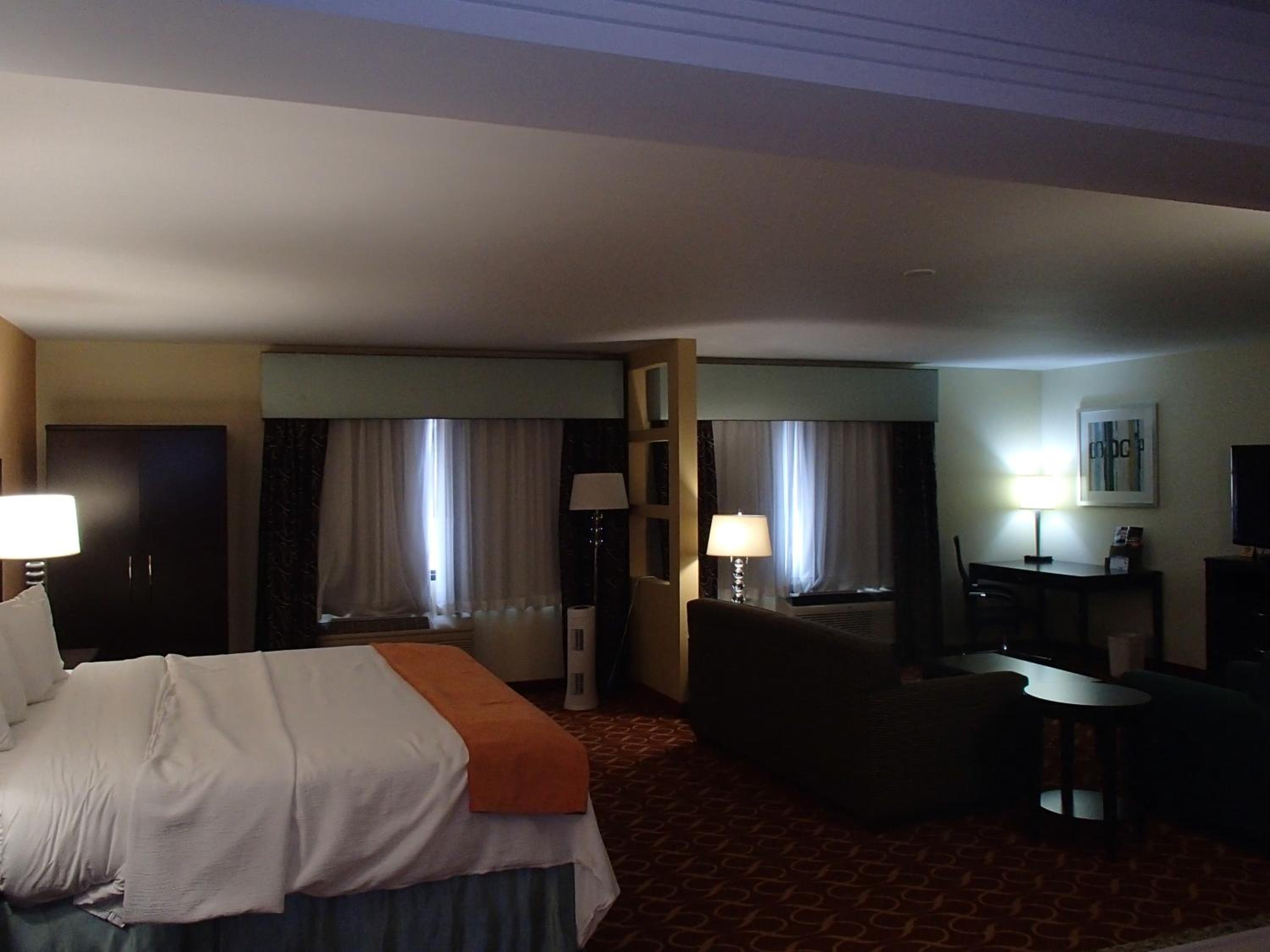 Deluxe King Suite - Non-Smoking photo 1