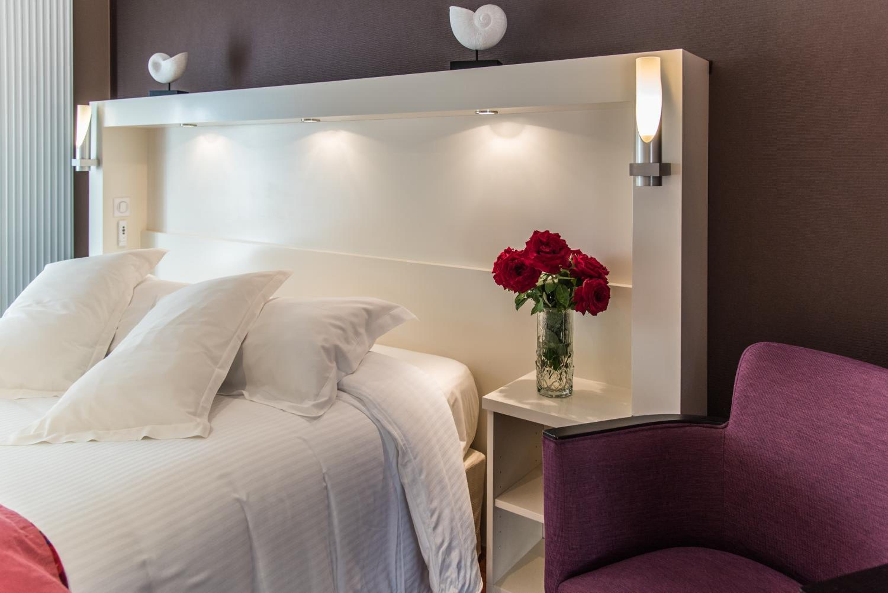 Suite - Photo 1
