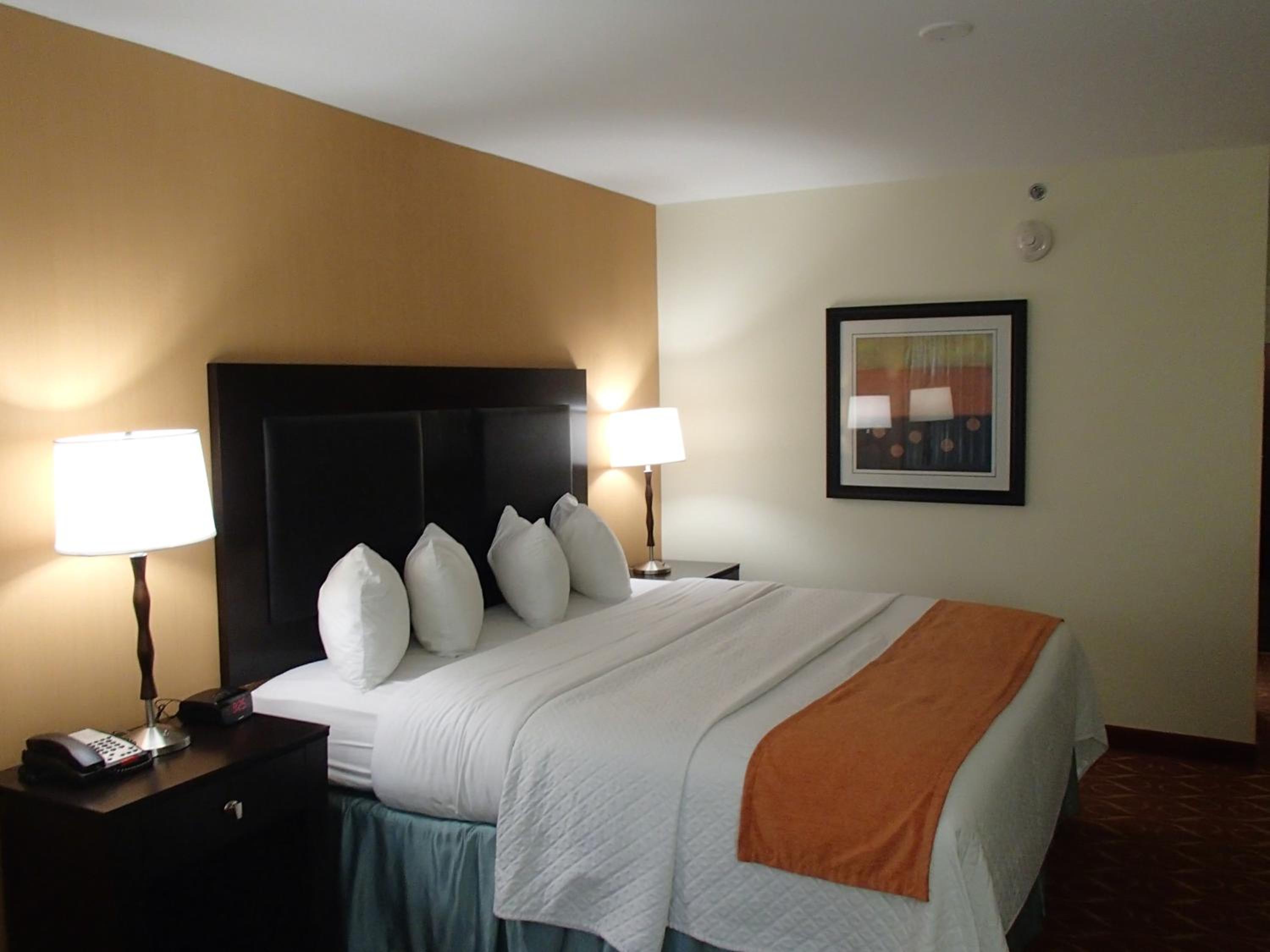 King Room with Roll-In Shower - Mobility/Hearing Accessible - Non-Smoking photo 1