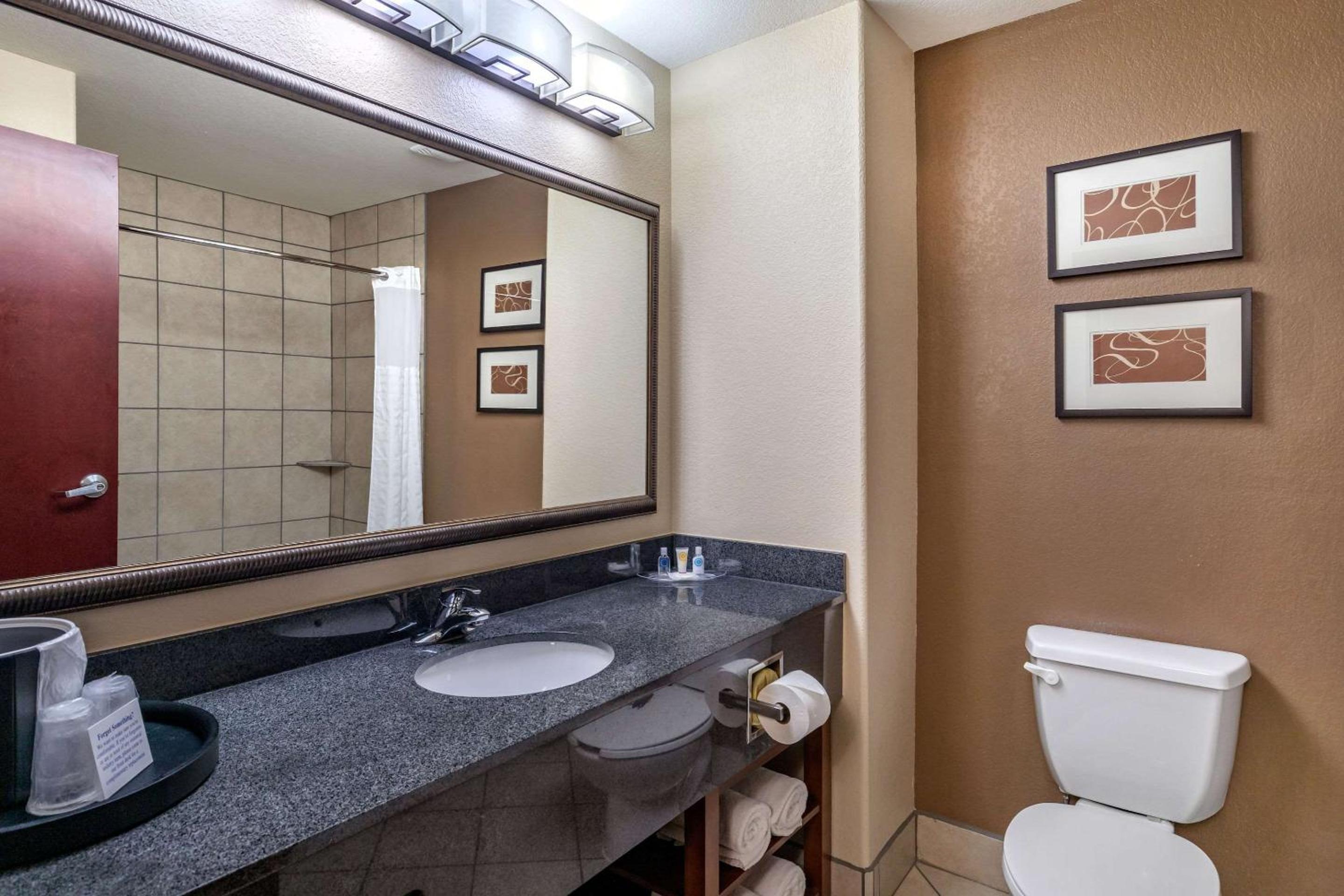 King Suite - Non-Smoking photo 3