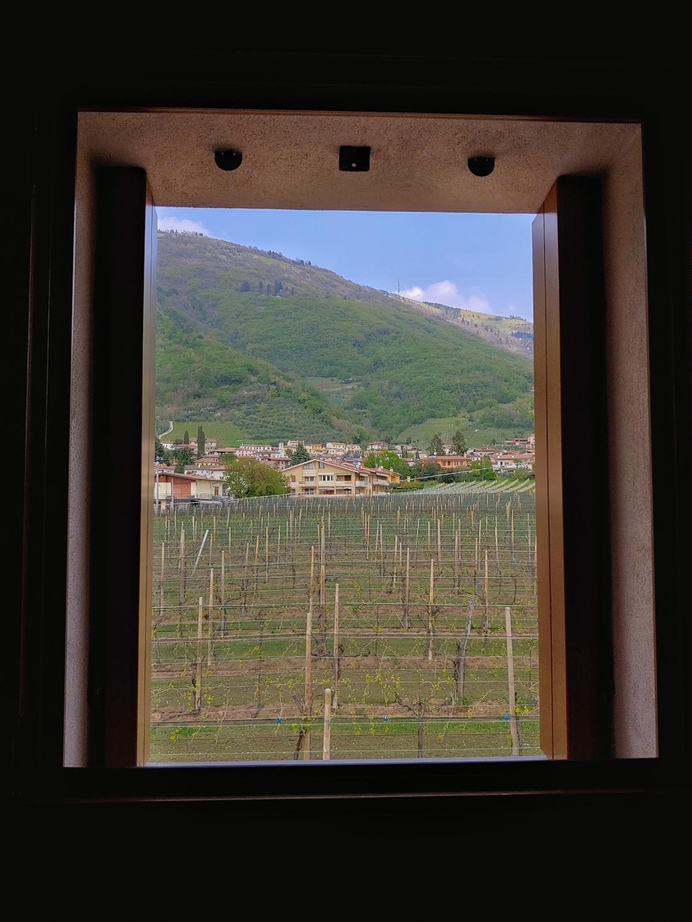 Double Room With Garden View photo 2