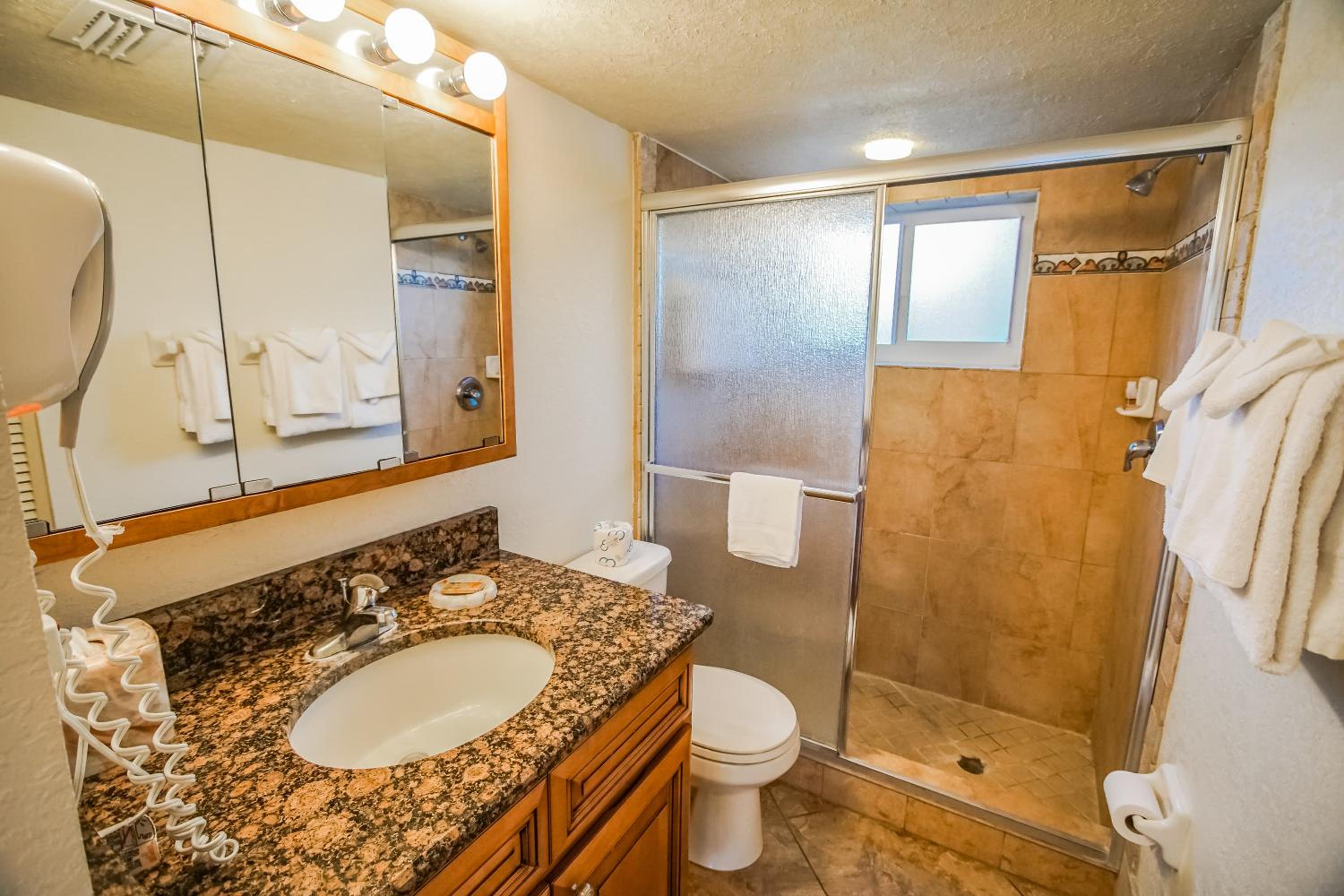 One-Bedroom King Suite with Pool View photo 3