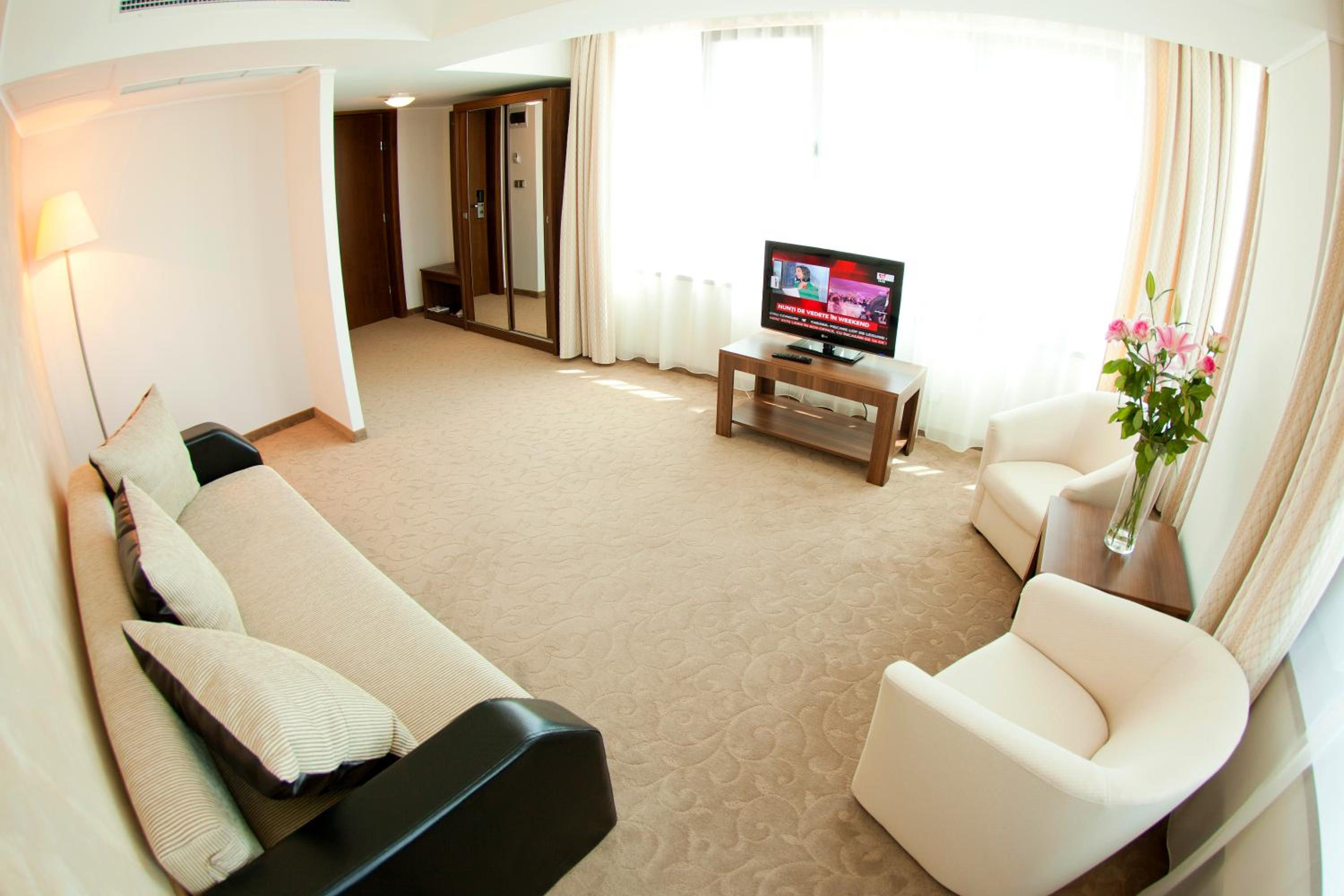 Suite - Photo 4
