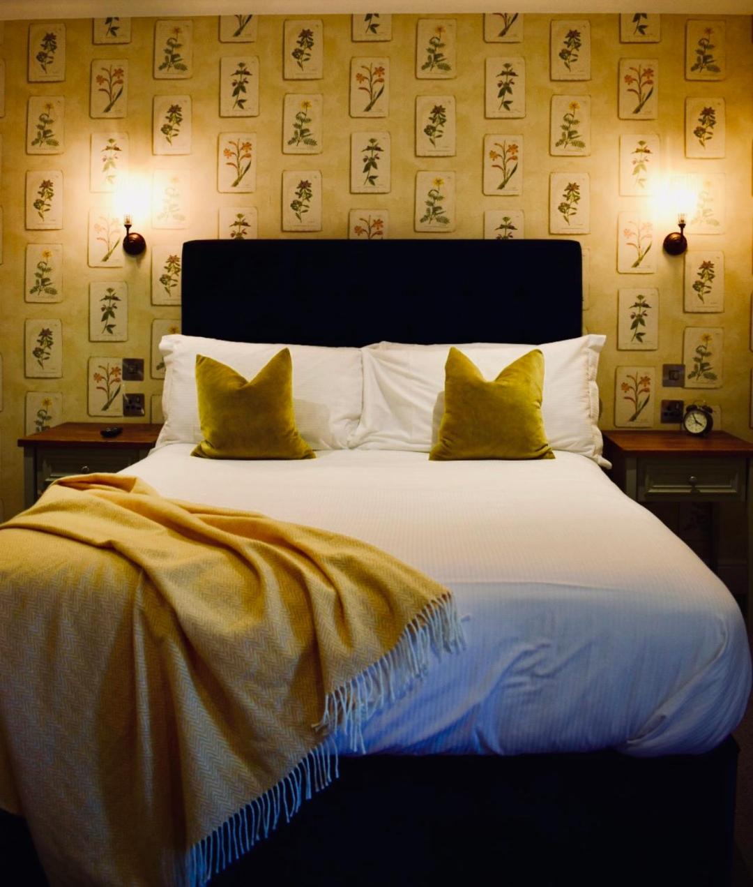 Standard King Room photo 2