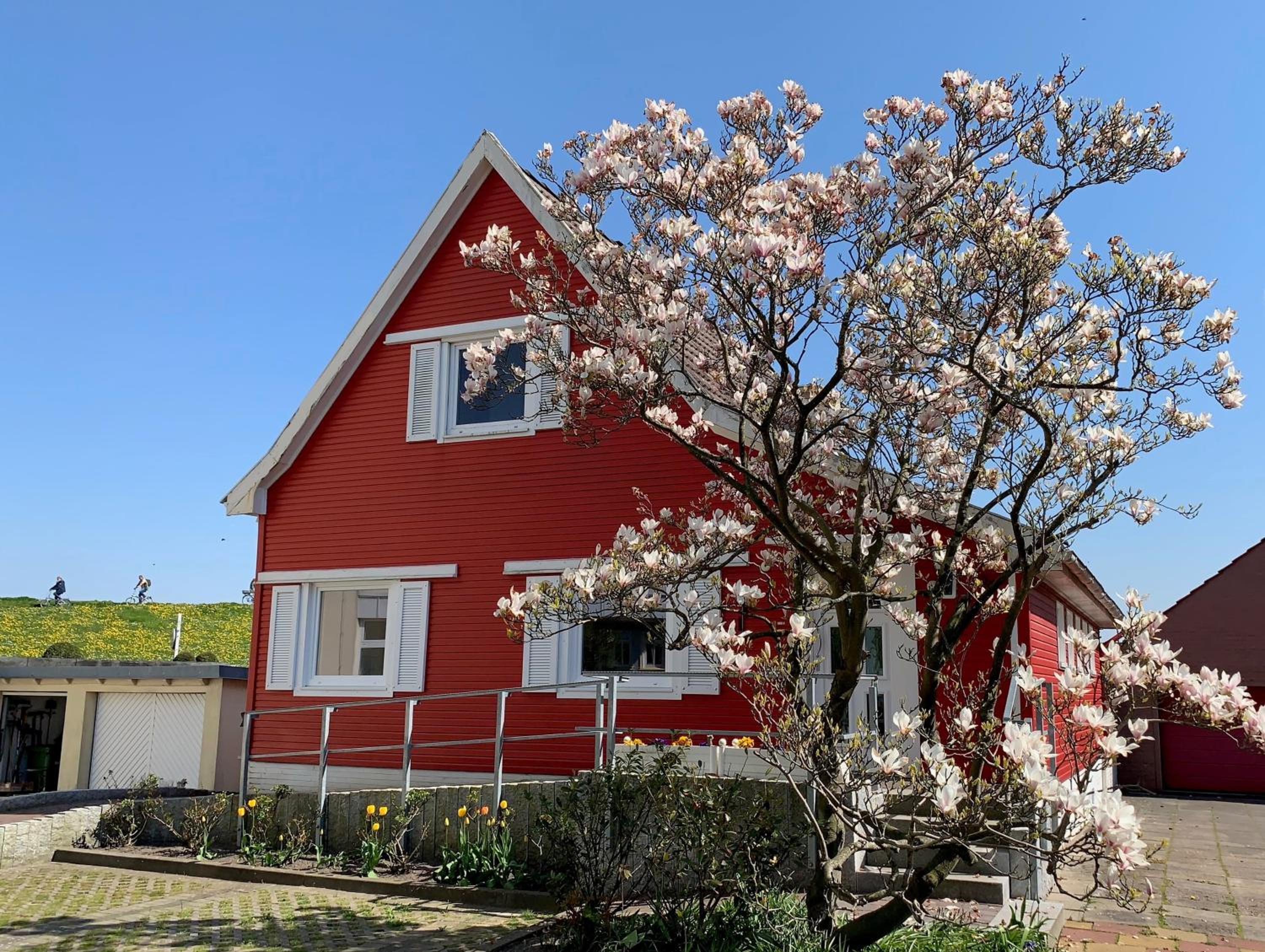 Apartment With Garden View photo 2