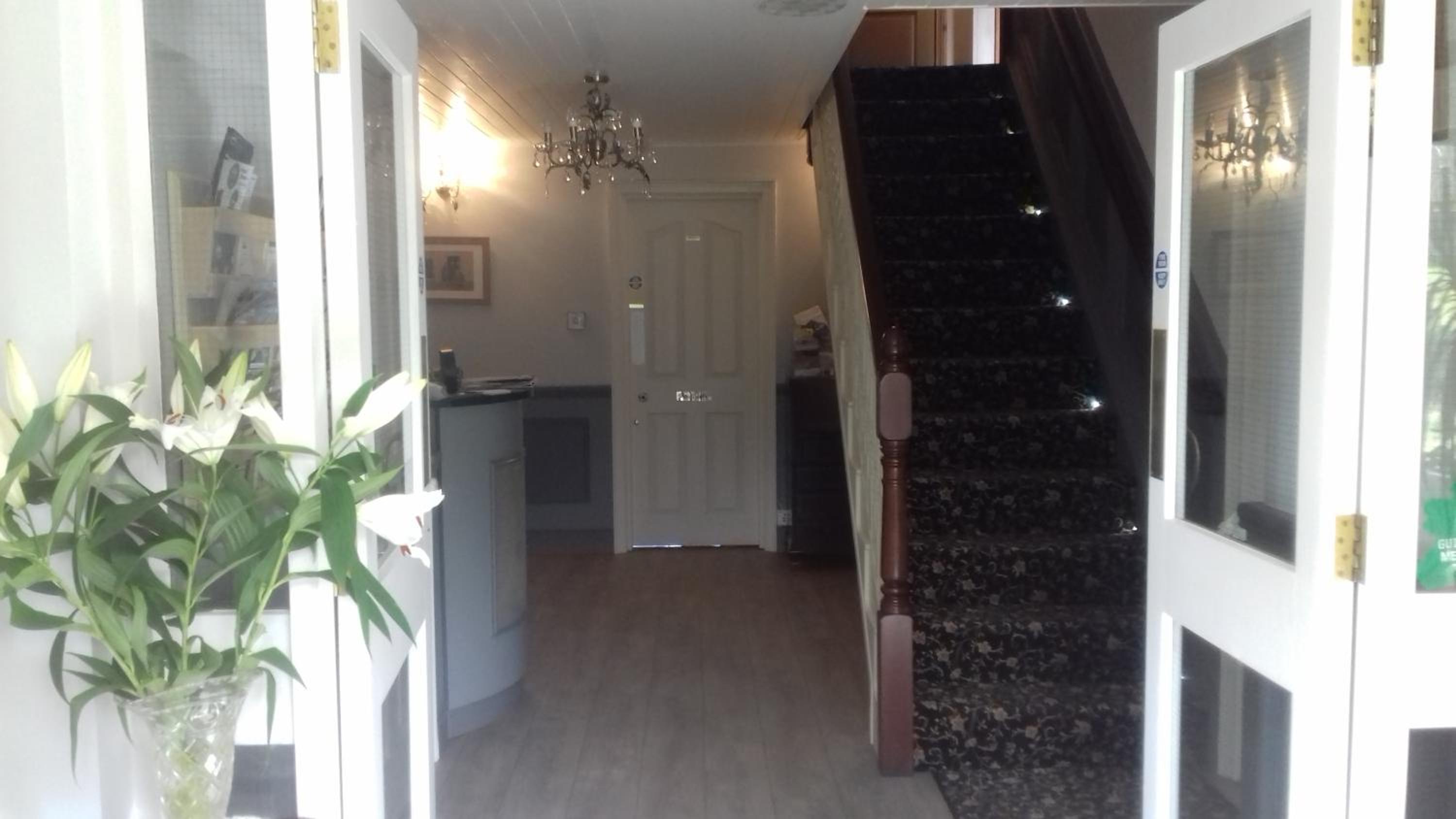 Standard Family Room photo 2