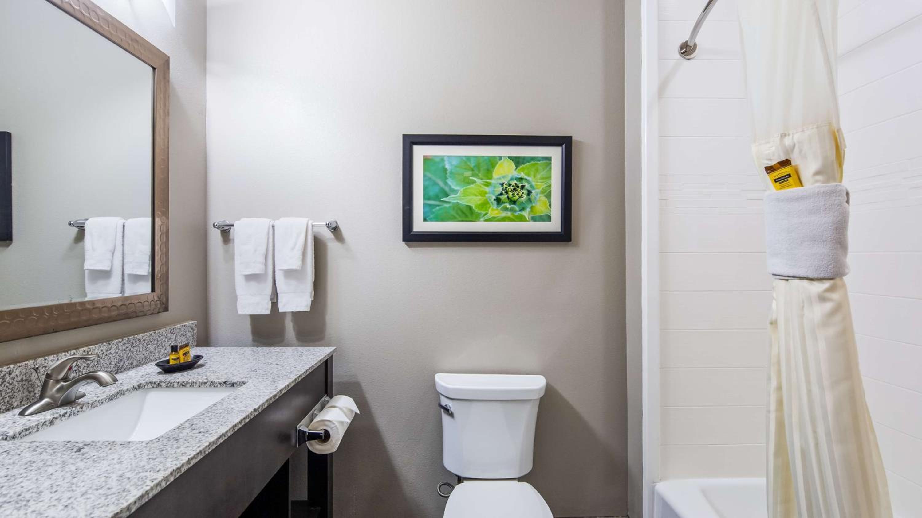 King Suite with Whirlpool - Non-Smoking photo 2