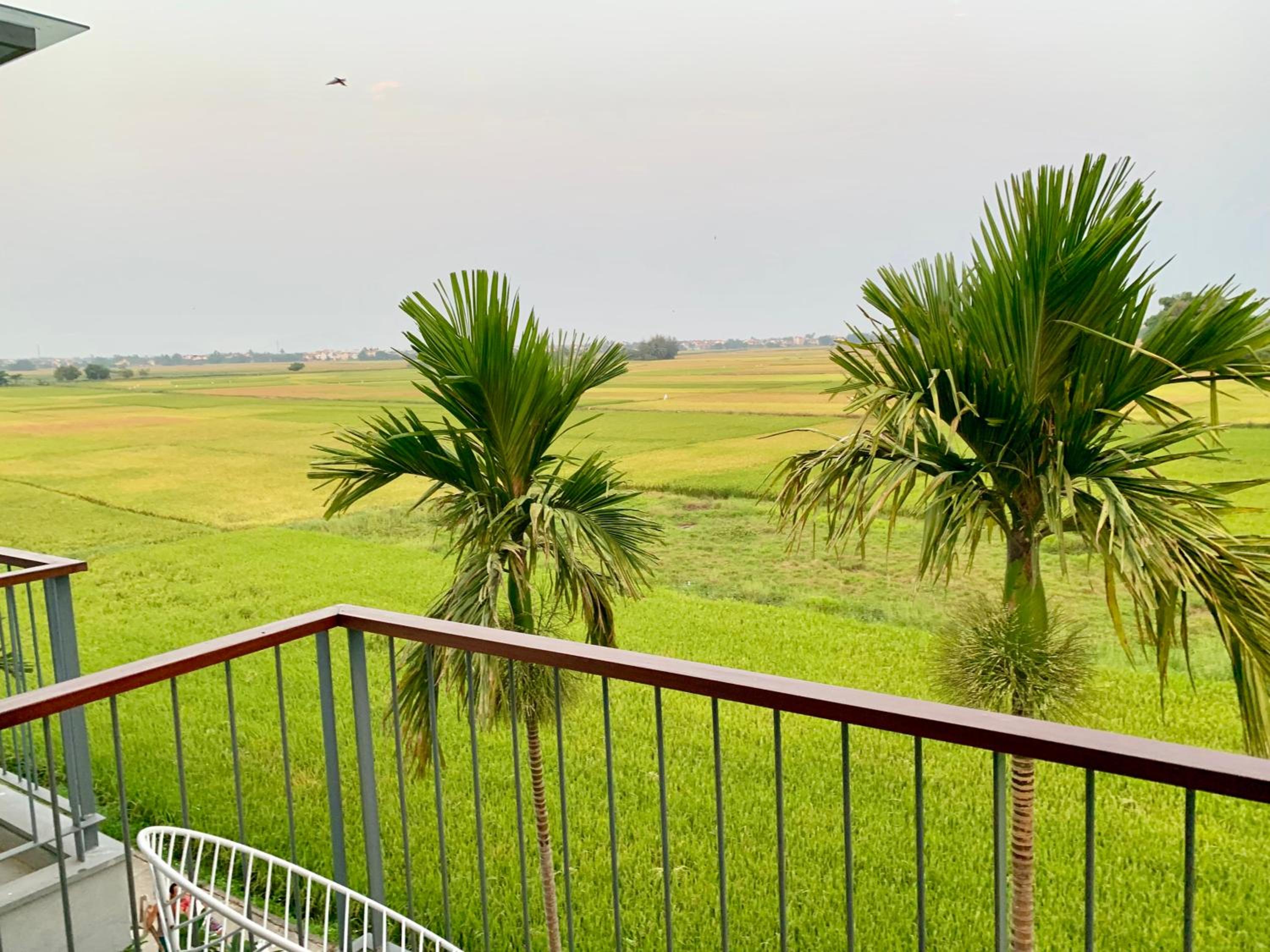 Grand Deluxe Double Room Rice field View - Photo 9