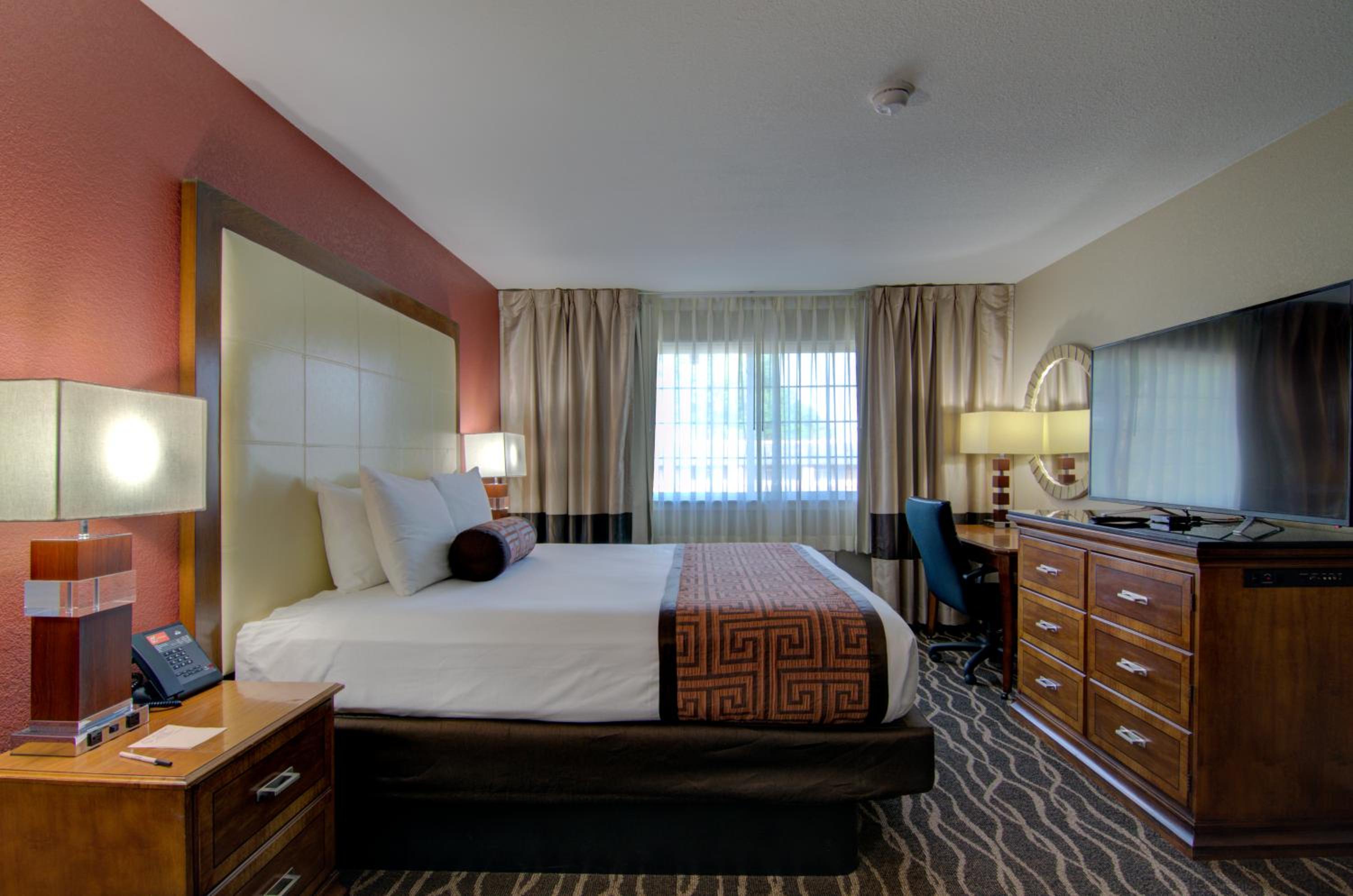 King Room photo 1