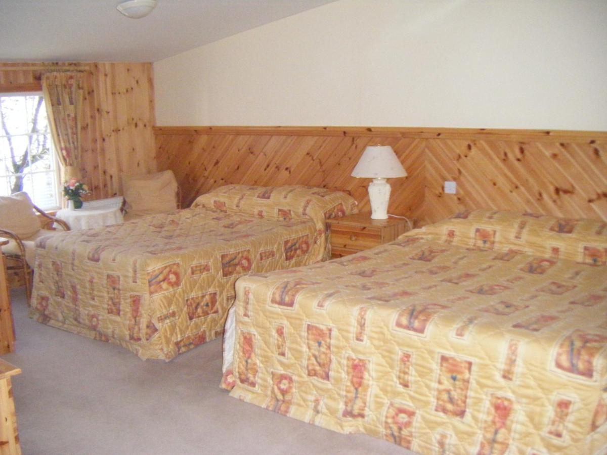 Twin Room photo 2