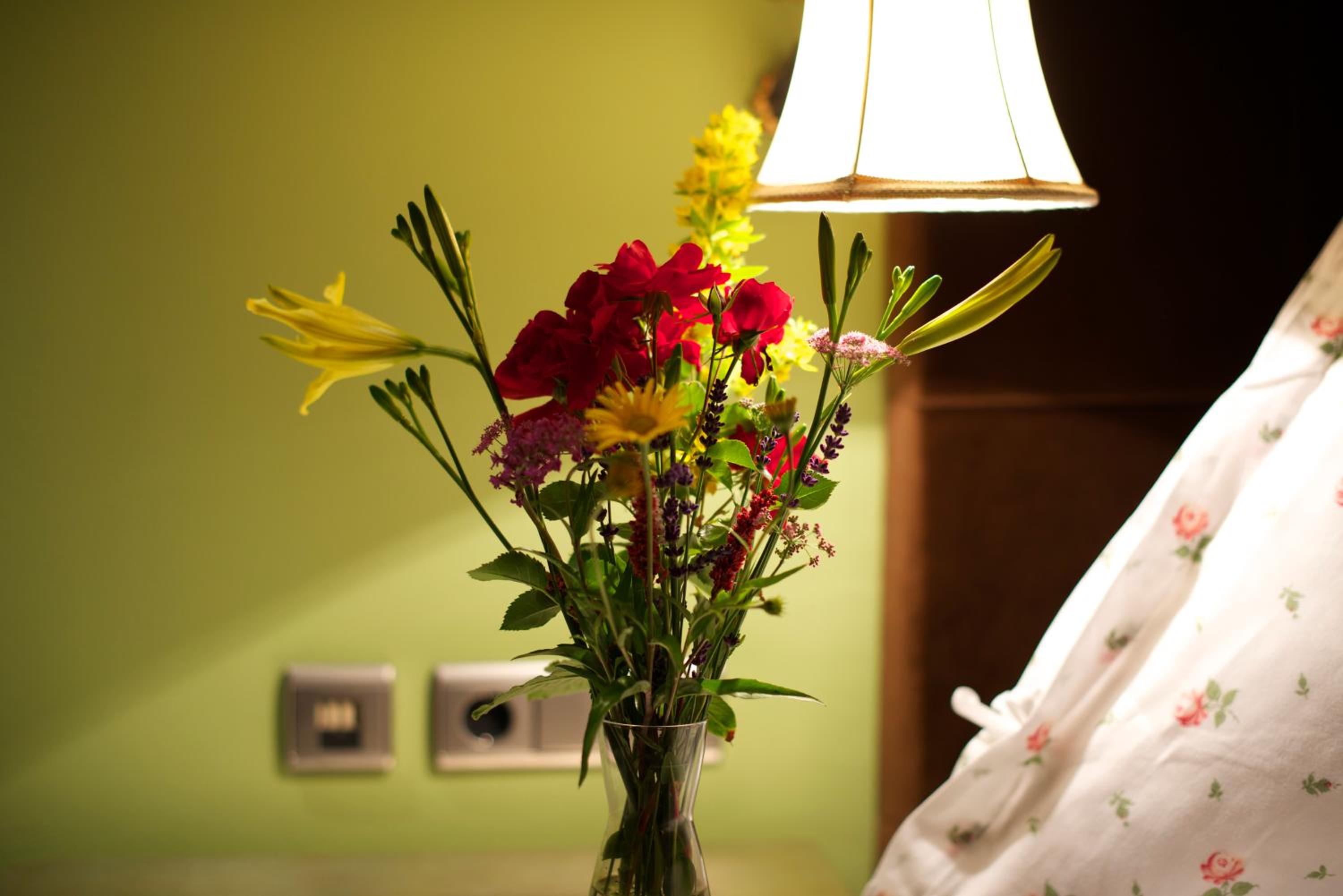 Junior Suite photo 1