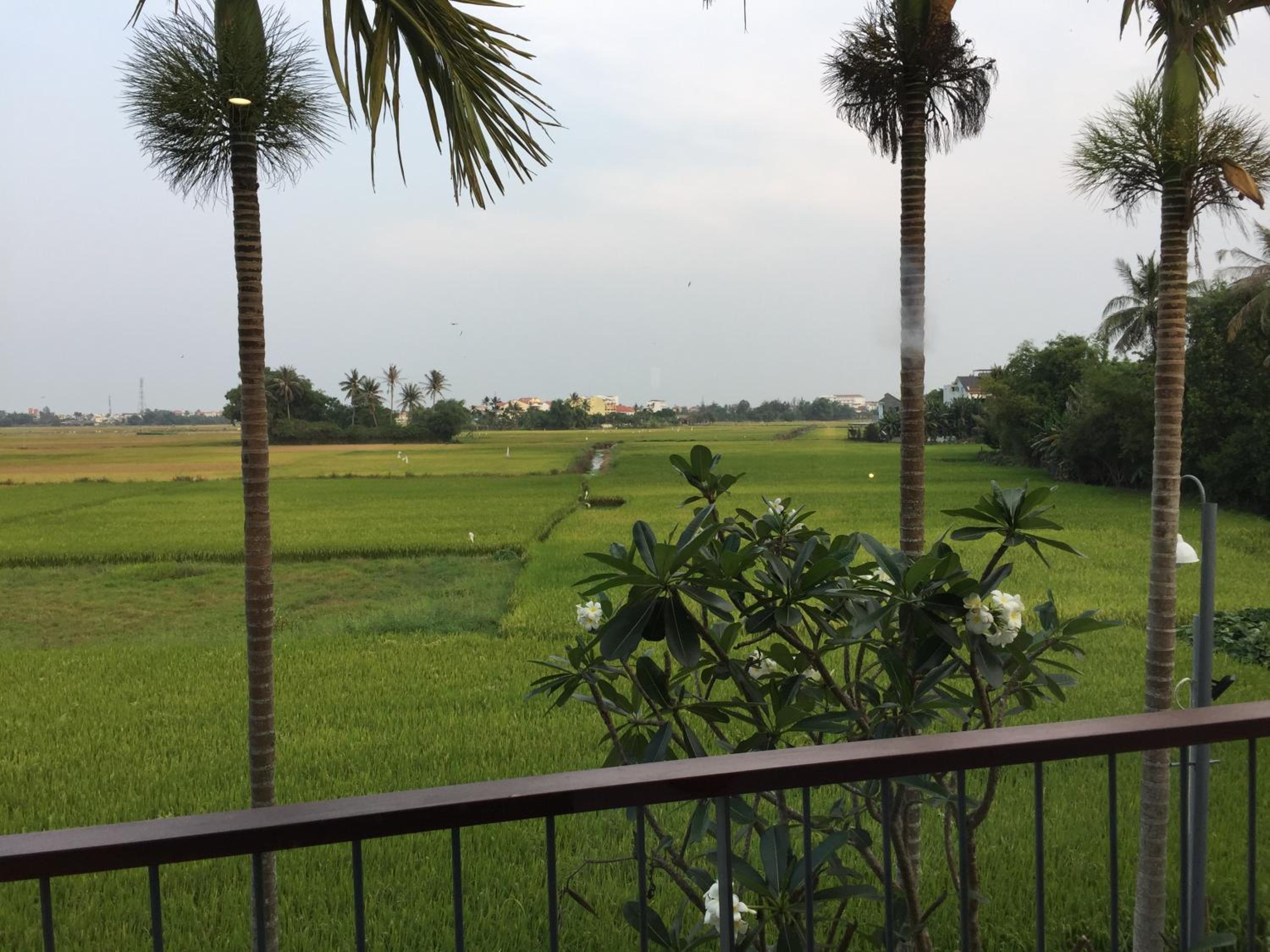 Deluxe Double or Twin Room Rice field View with Balcony  - Photo 2