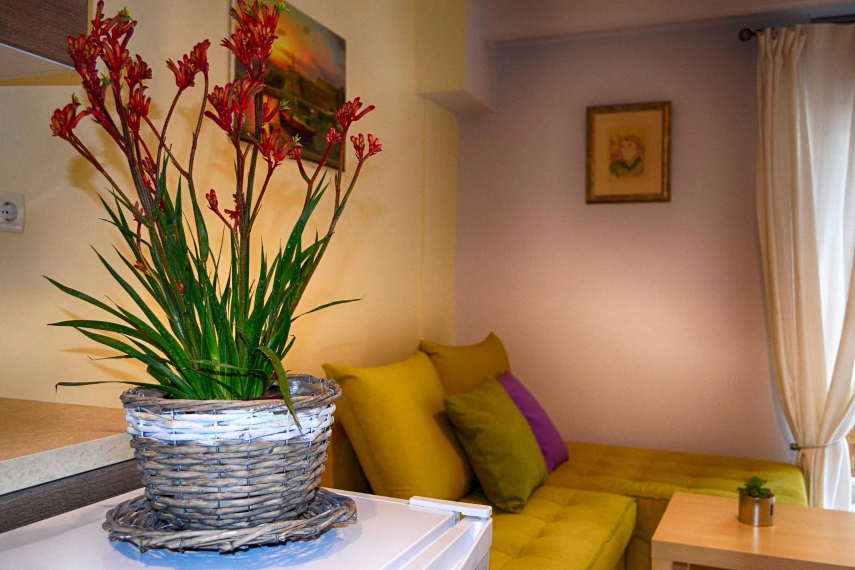 Apartment with Balcony - Photo 6