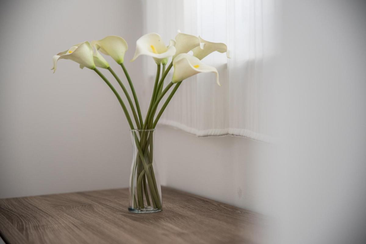 One-Bedroom Apartment - Photo 9