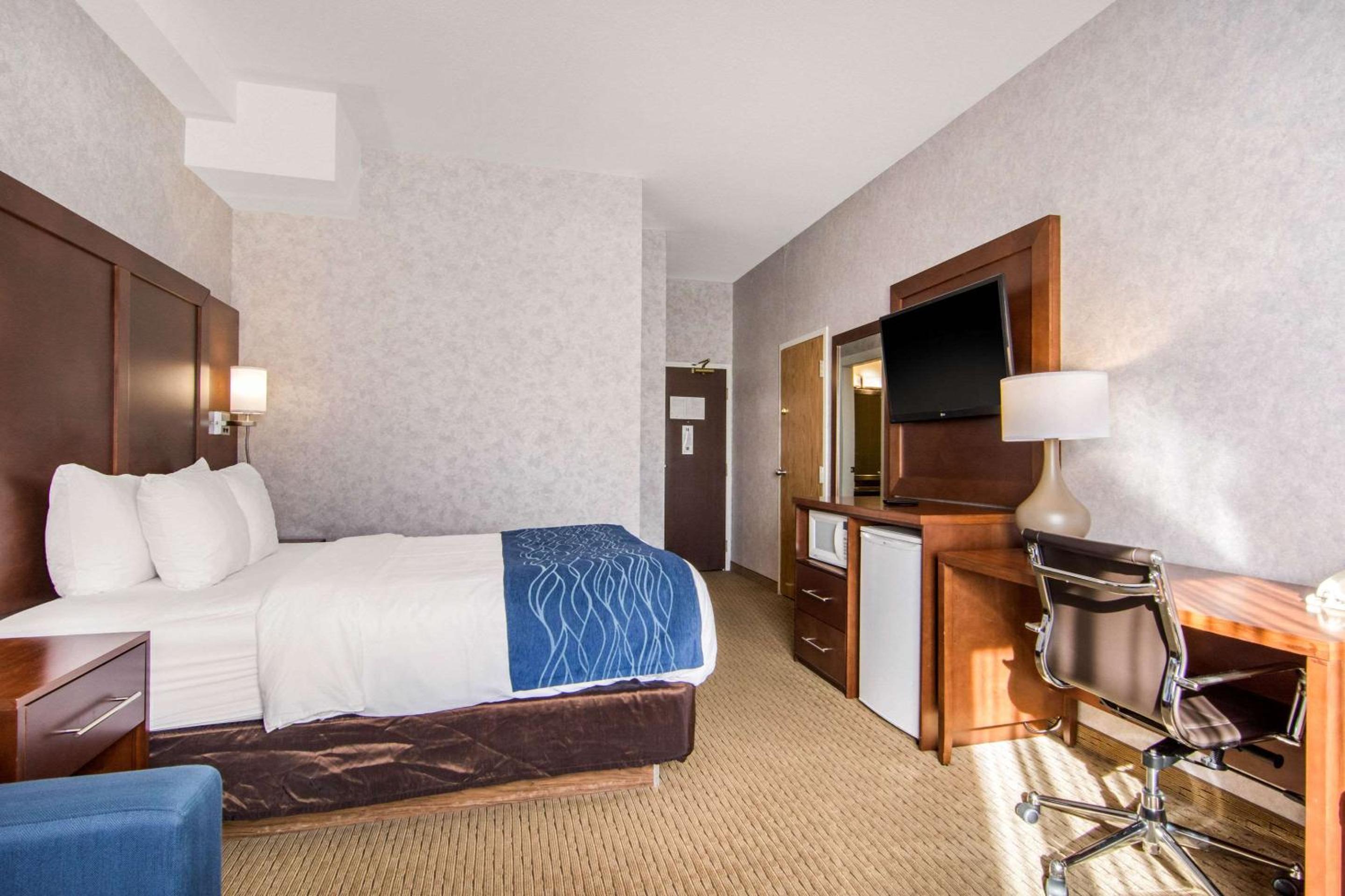 Queen Room - Non-Smoking/Pet Friendly - Photo 1