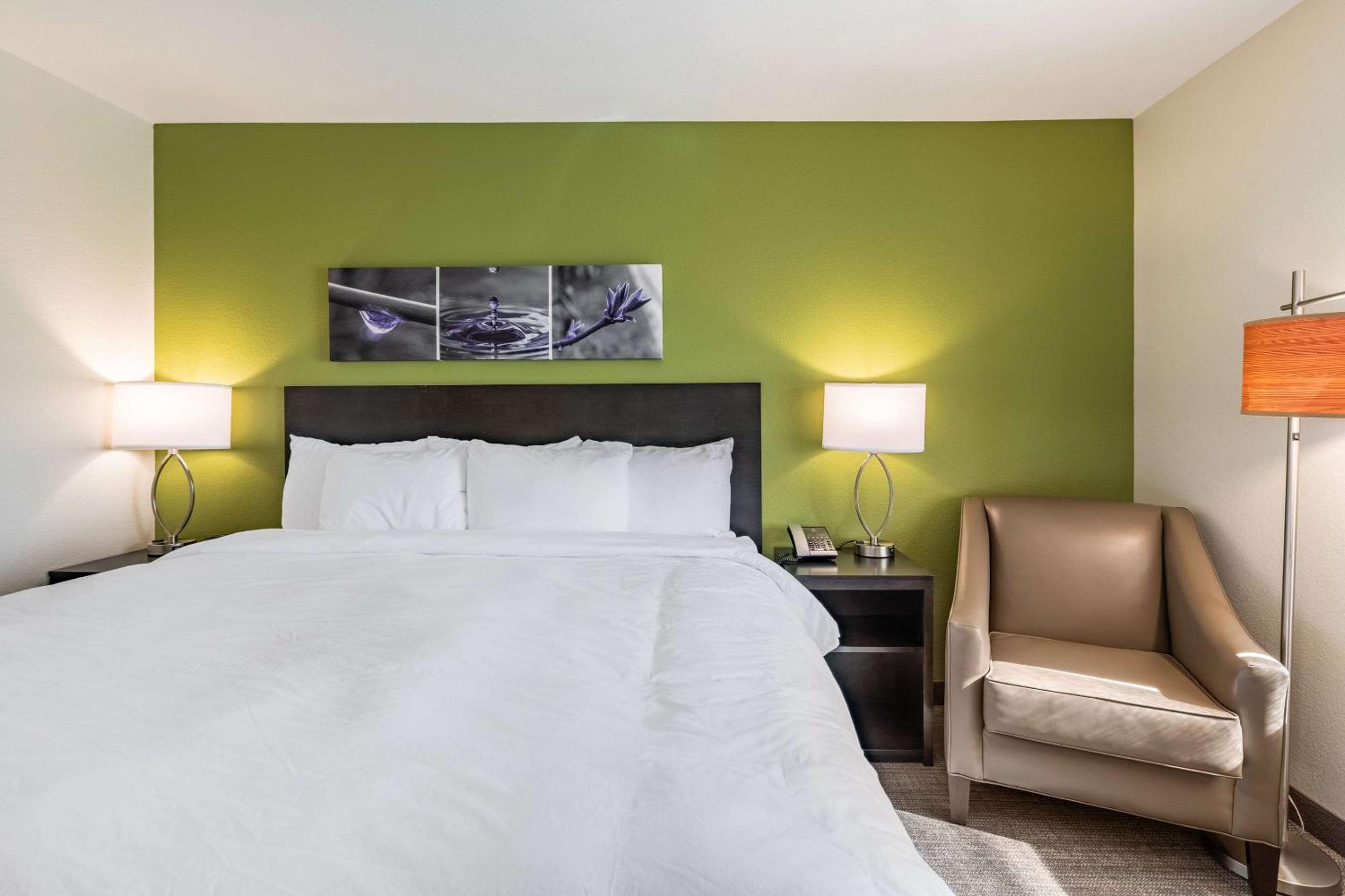 King Room - Non-Smoking - Photo 1