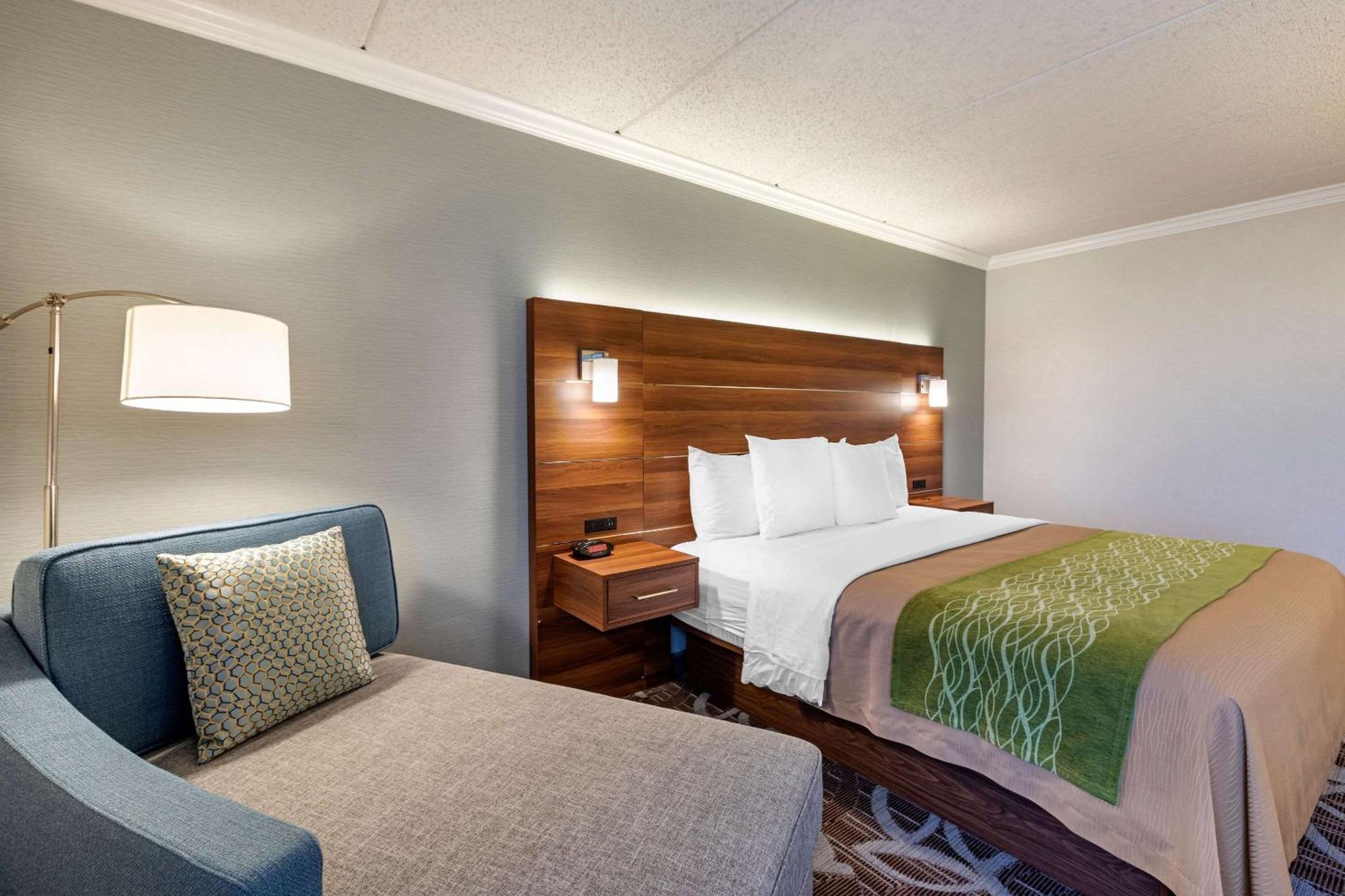 Standard Room, 1 King Bed, Non Smoking - Photo 5