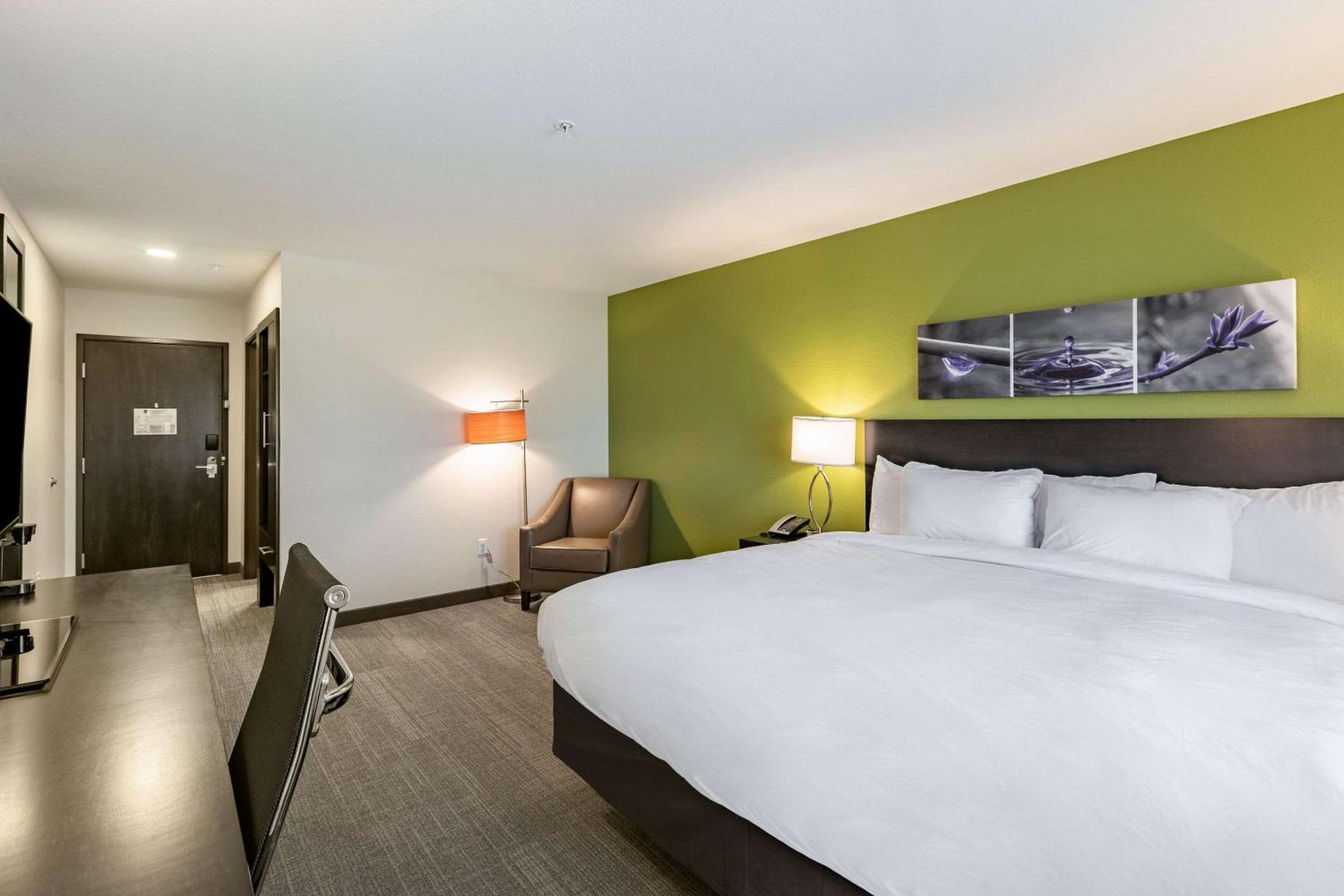 King Suite - Non-Smoking - Photo 1