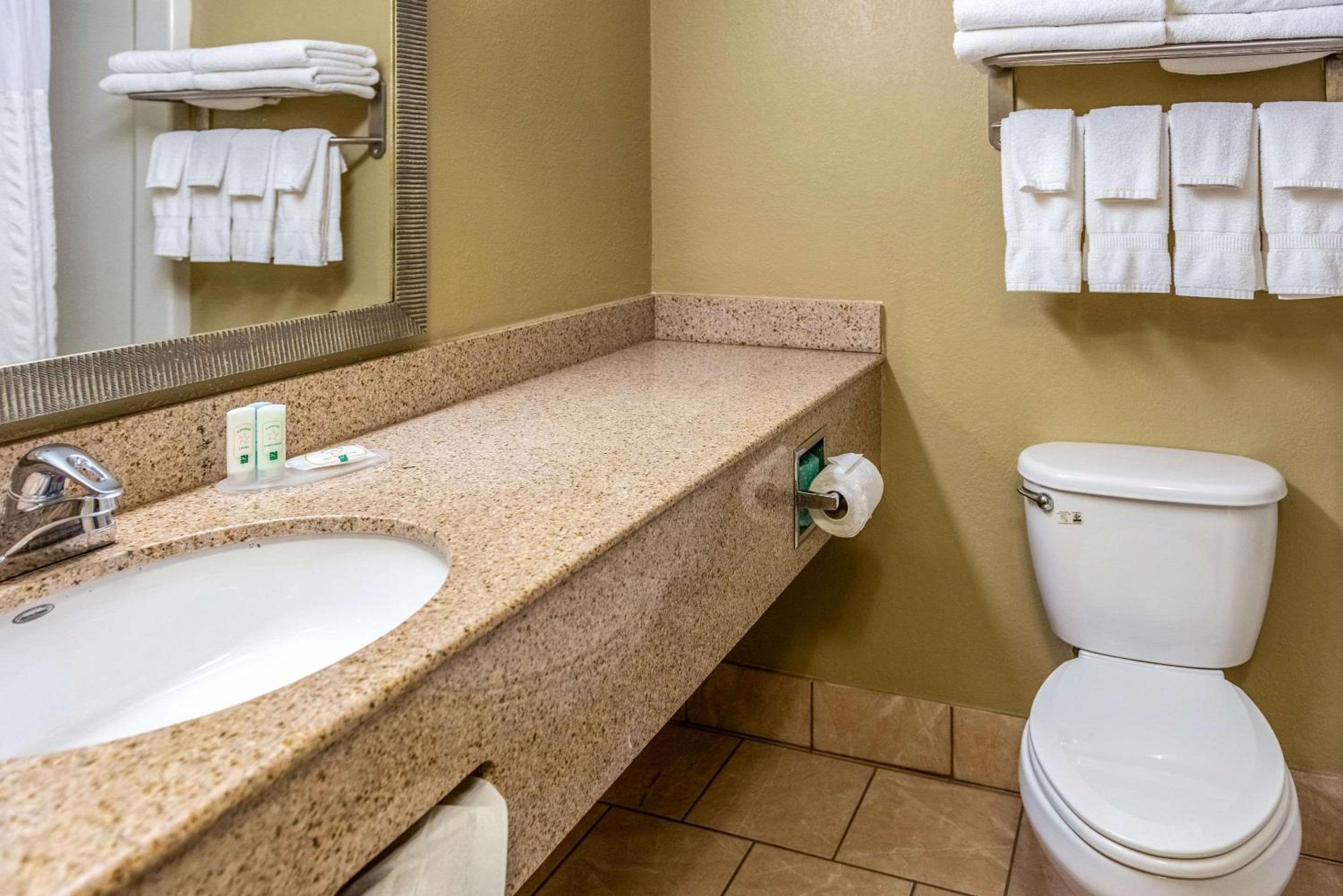 Standard King Suite - Non-Smoking - Photo 4