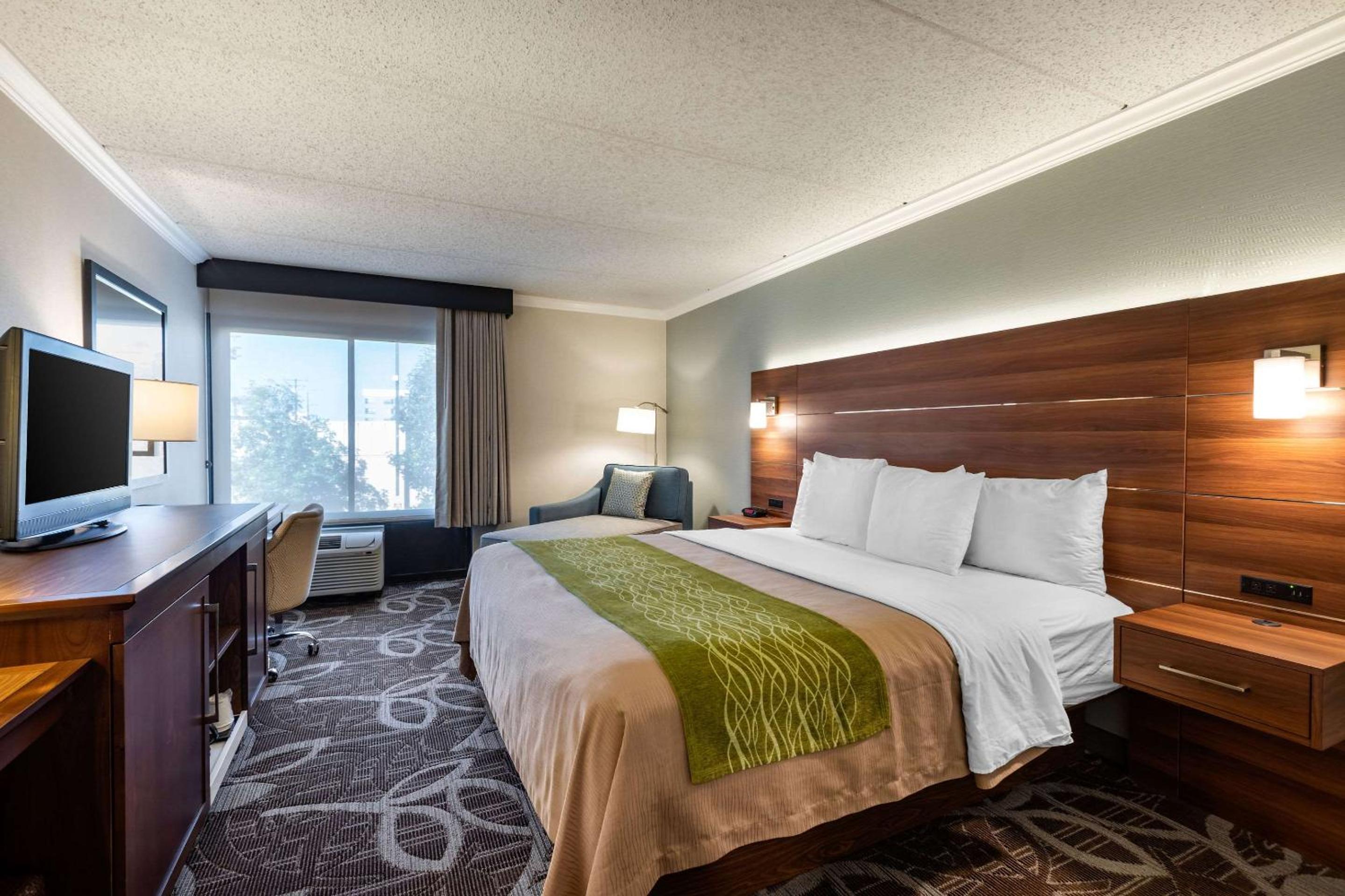 Standard Room, 1 King Bed, Non Smoking - Photo 1