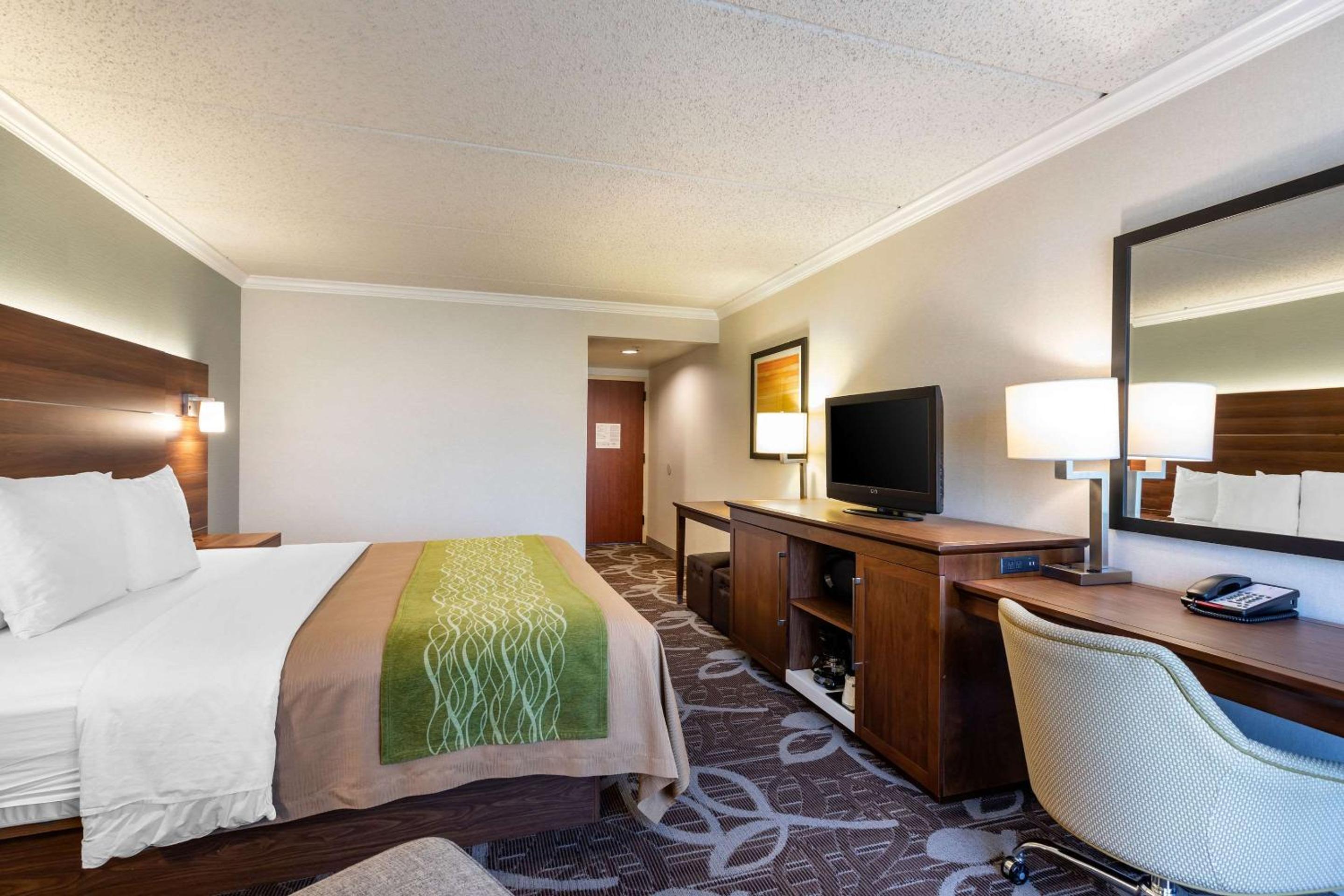 Standard Room, 1 King Bed, Non Smoking - Photo 4