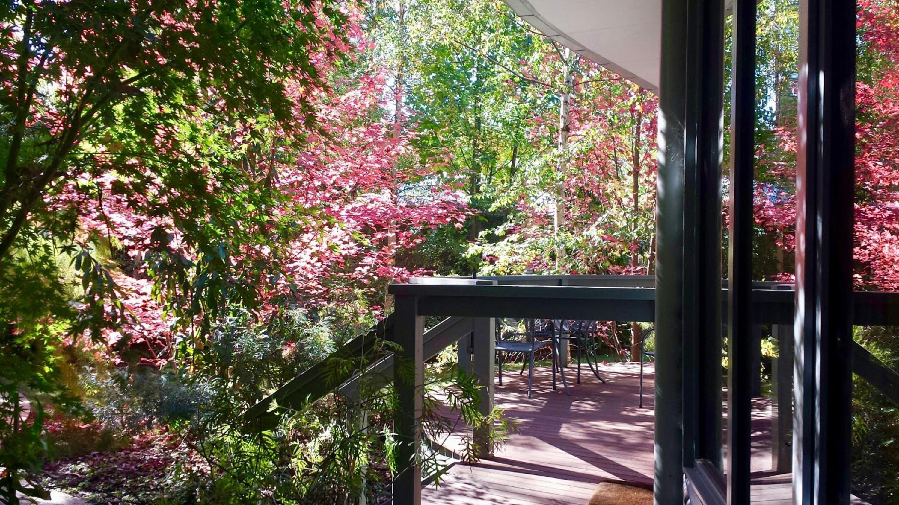 One-Bedroom Cottage - Kingfisher photo 2