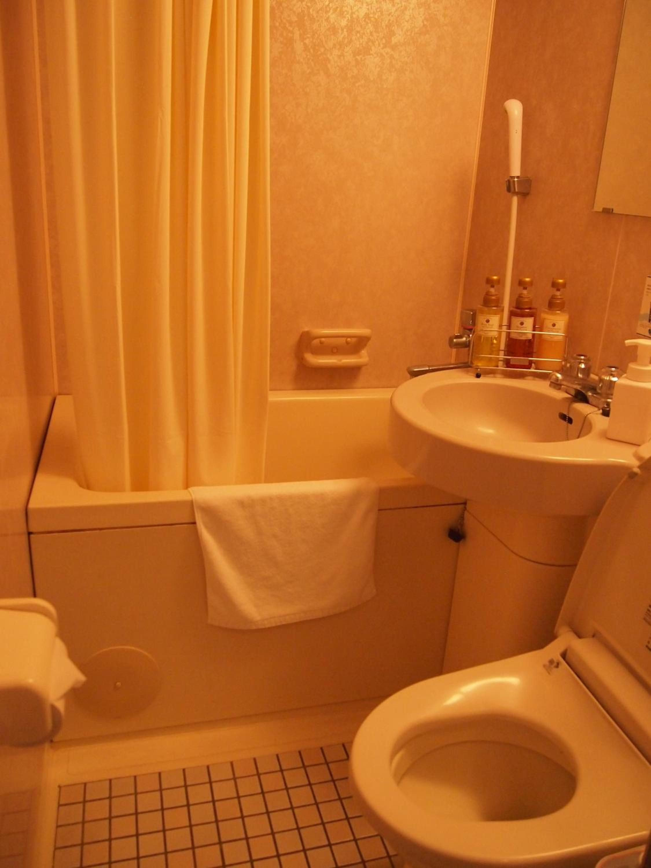Single Room - Smoking photo 3