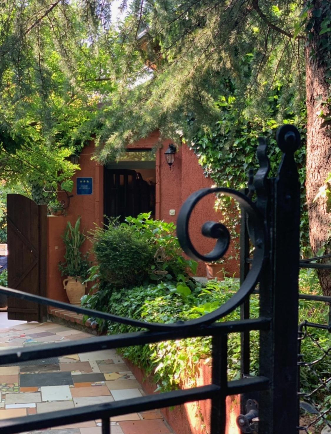 Studio with Garden View photo 1