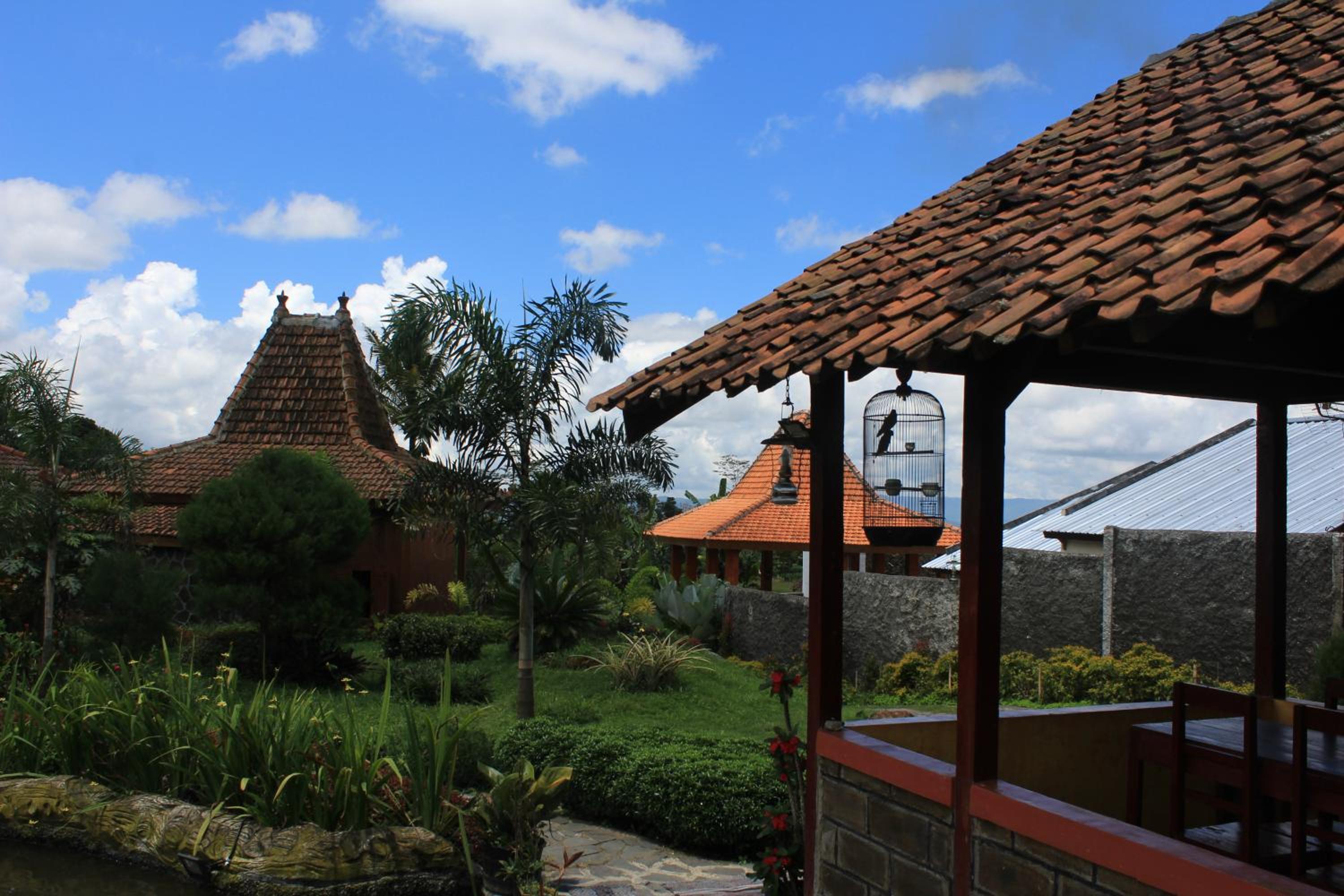 Cottage with Garden View - Photo 22