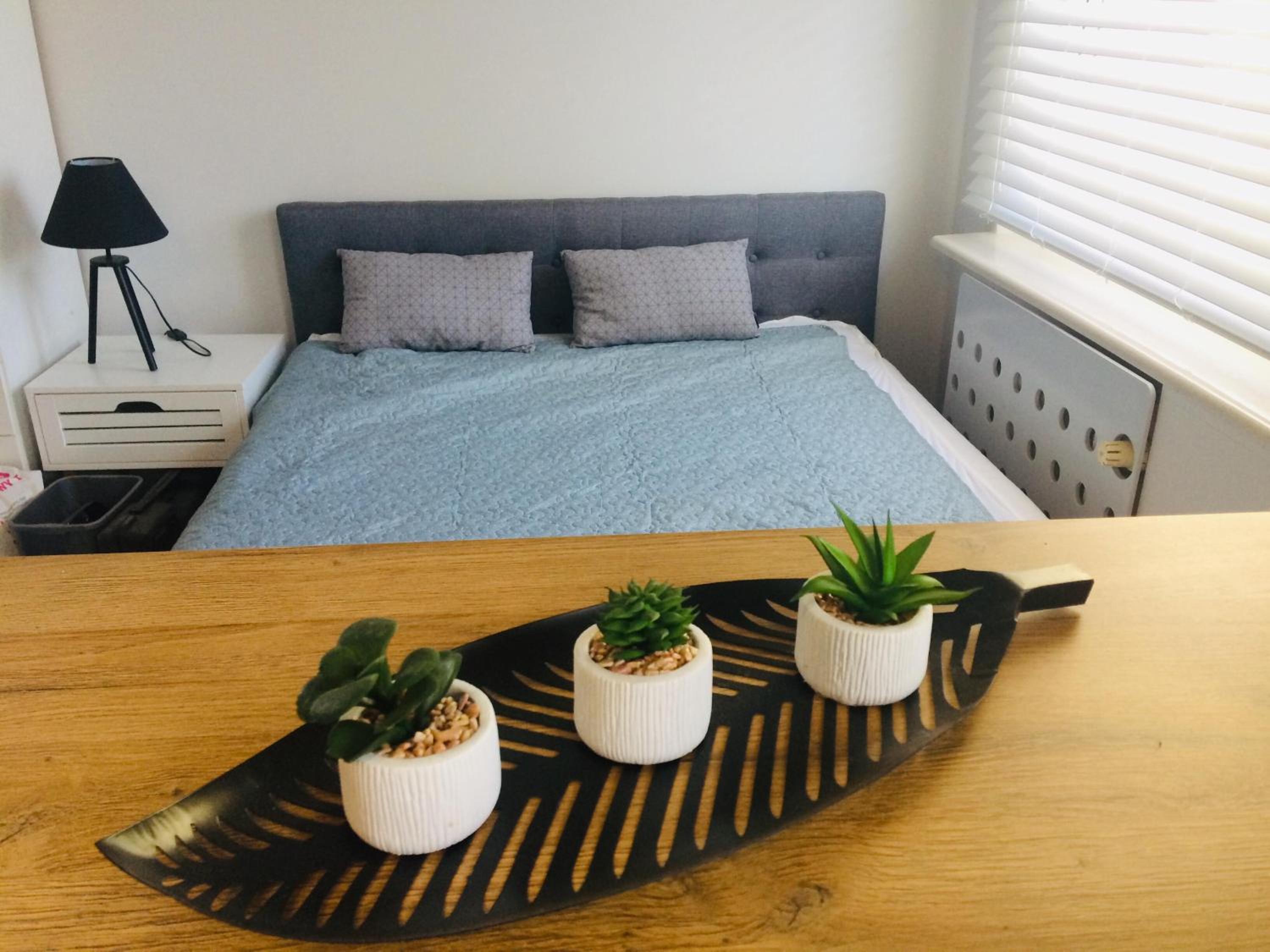 One-Bedroom Apartment photo 1