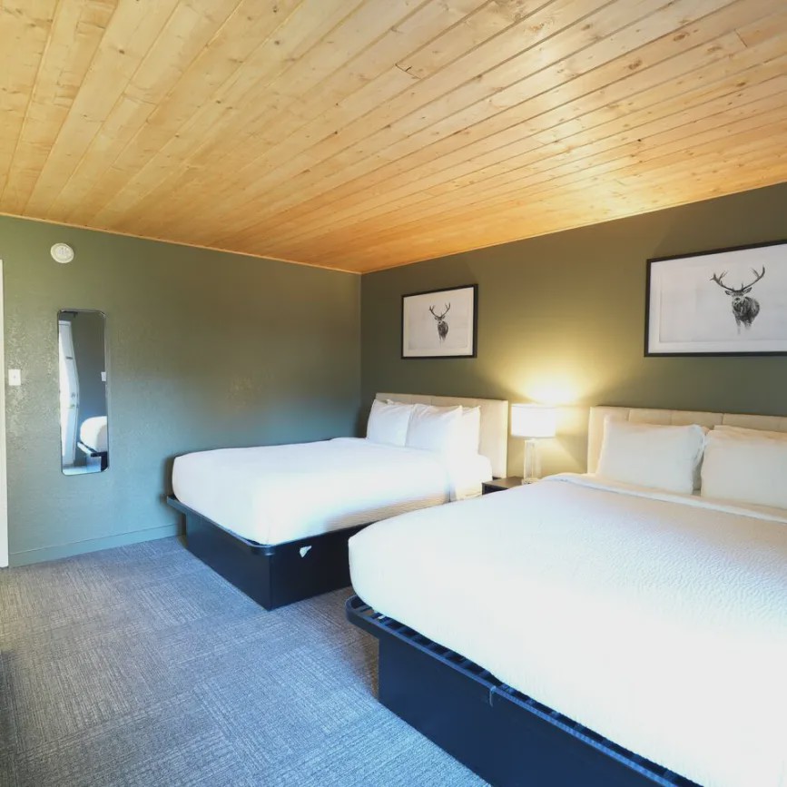 Suite with garden view