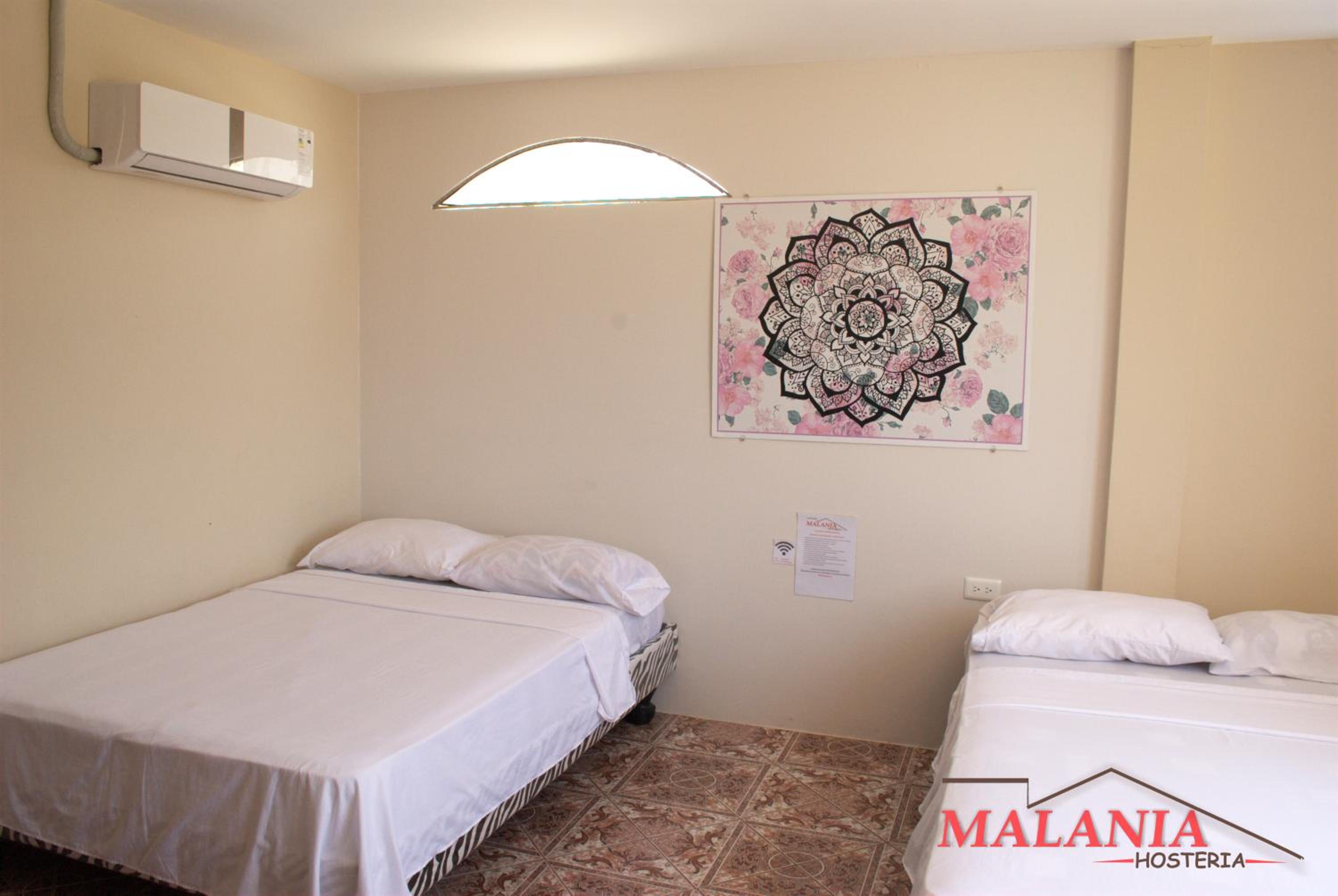 Twin Room photo 3
