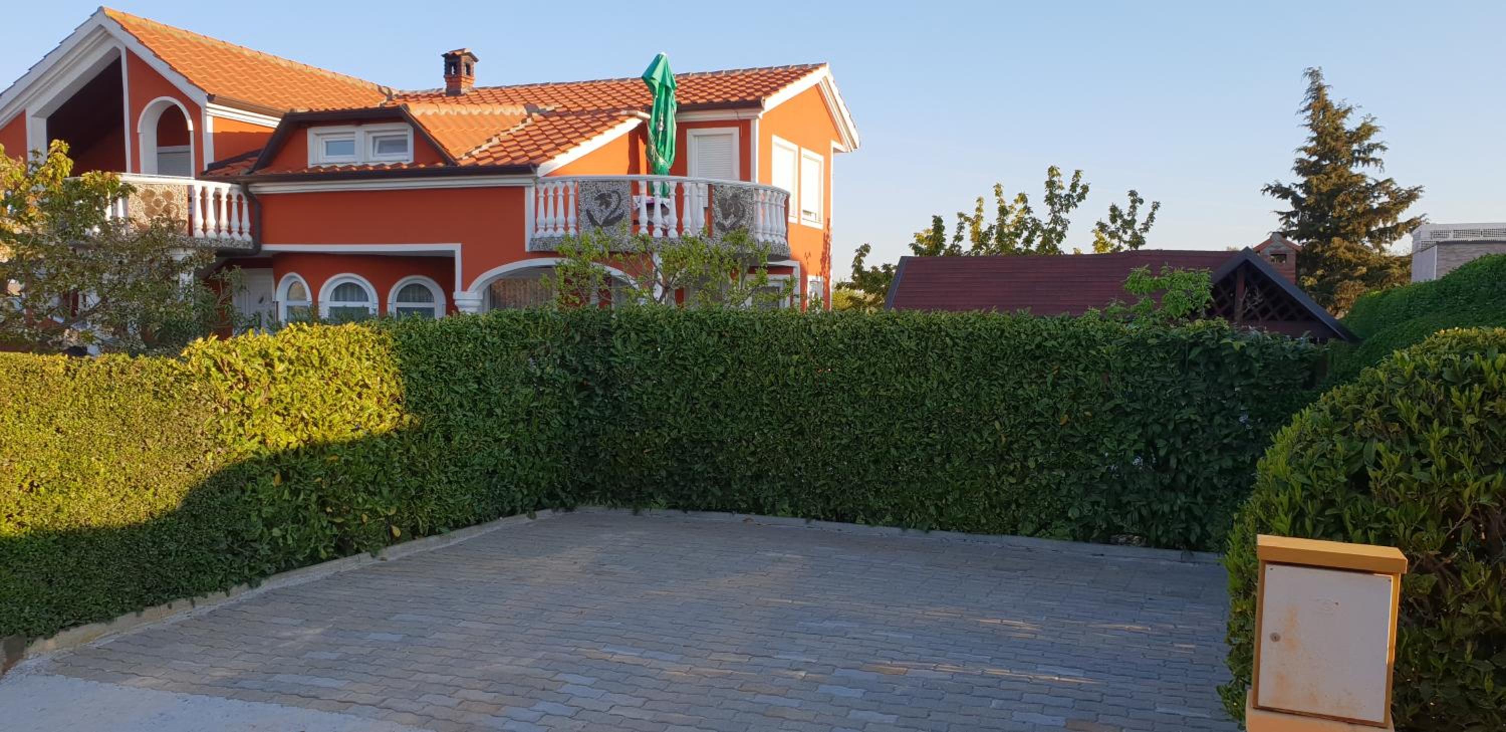 Apartment with Terrace photo 2