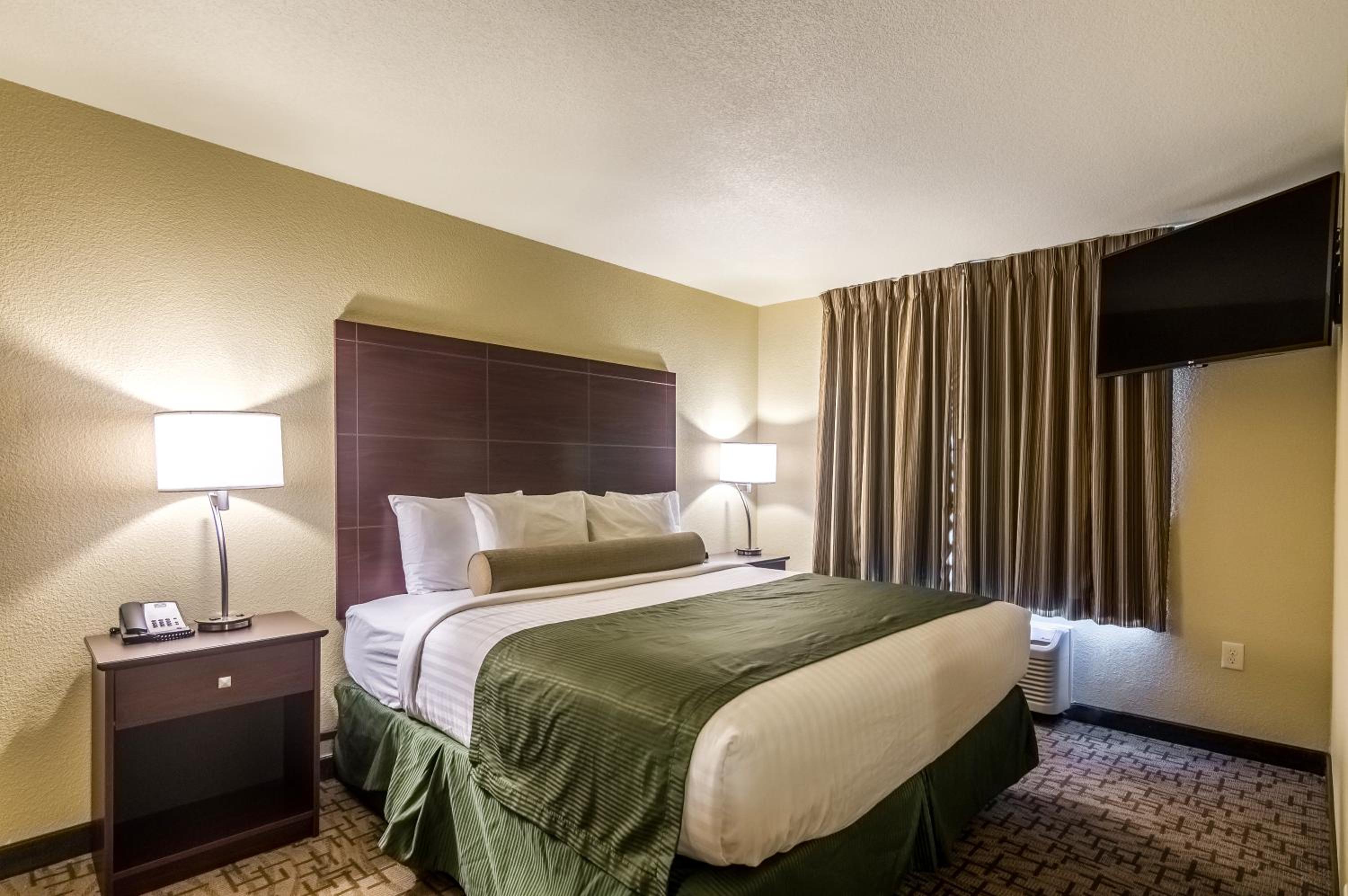 One-Bedroom Suite photo 3