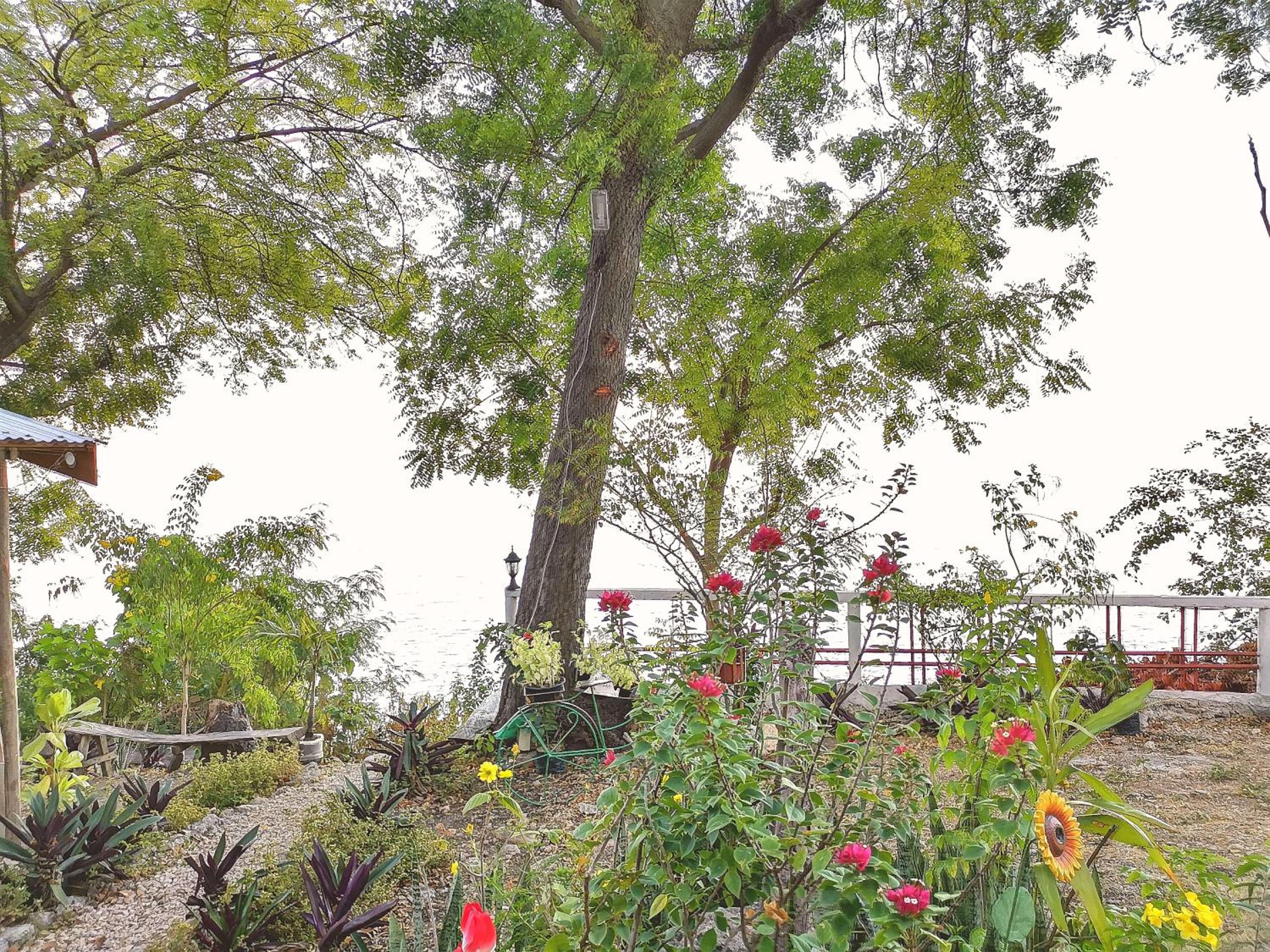Tree House with Sea View - Photo 4