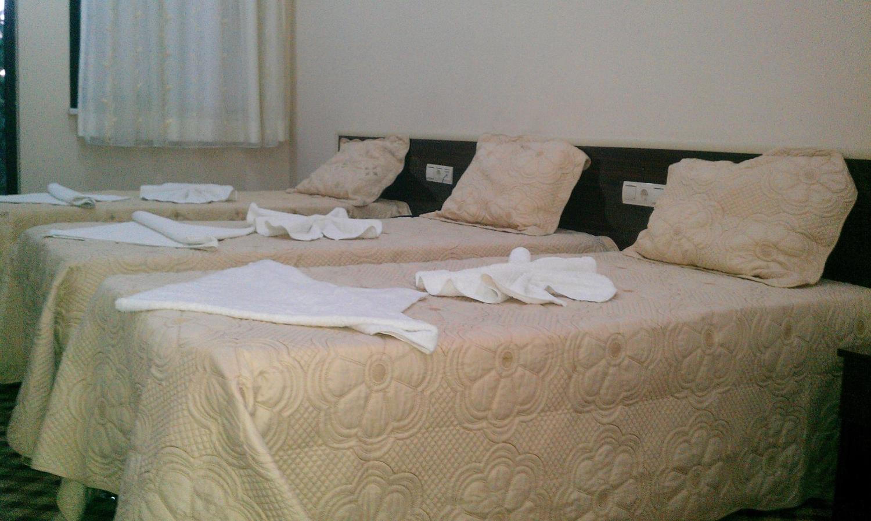 Triple Room photo 2
