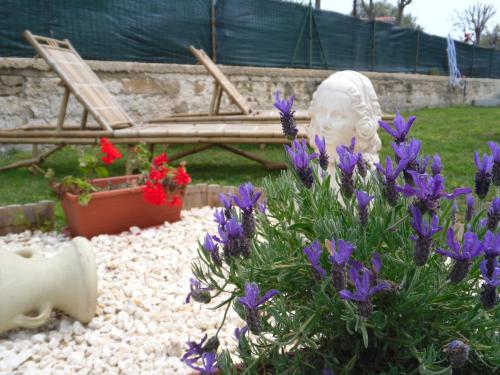 Holiday Home photo 1