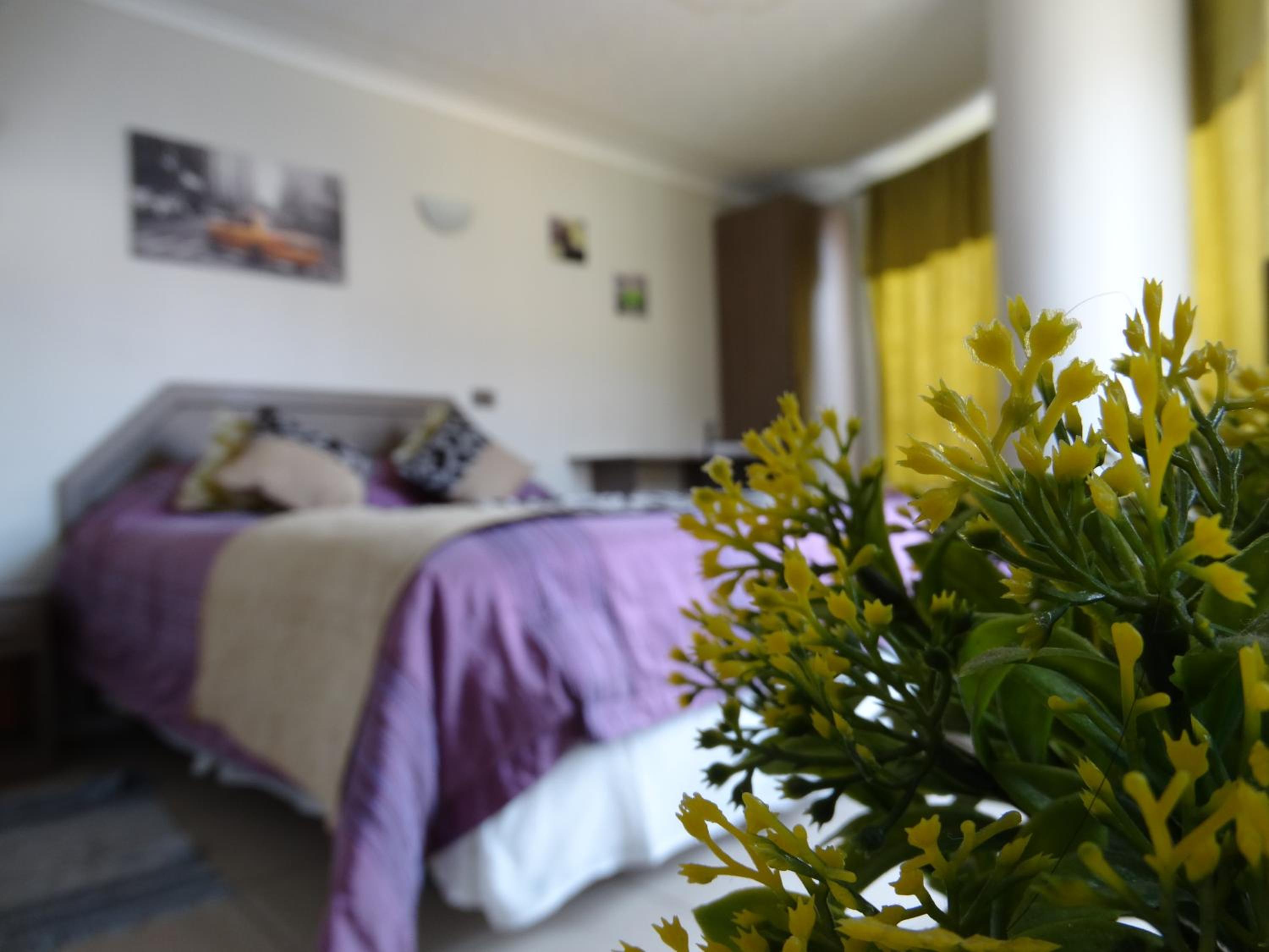 Double Room photo 1