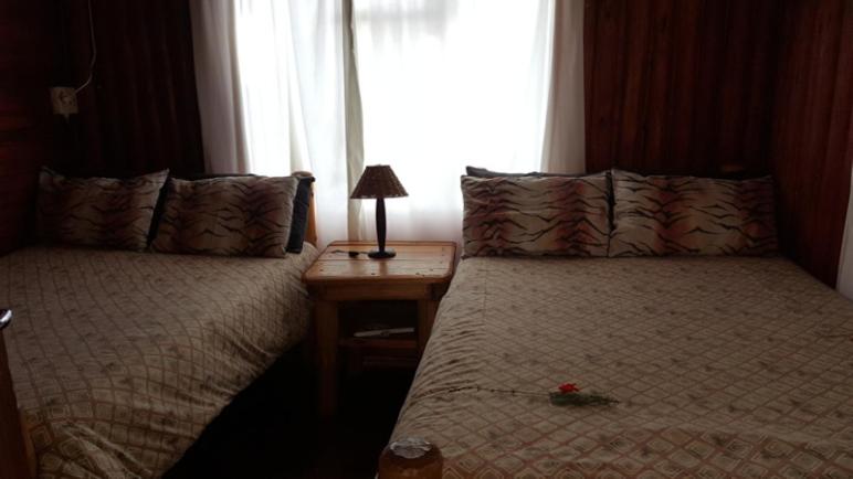 Family Room - Photo 15